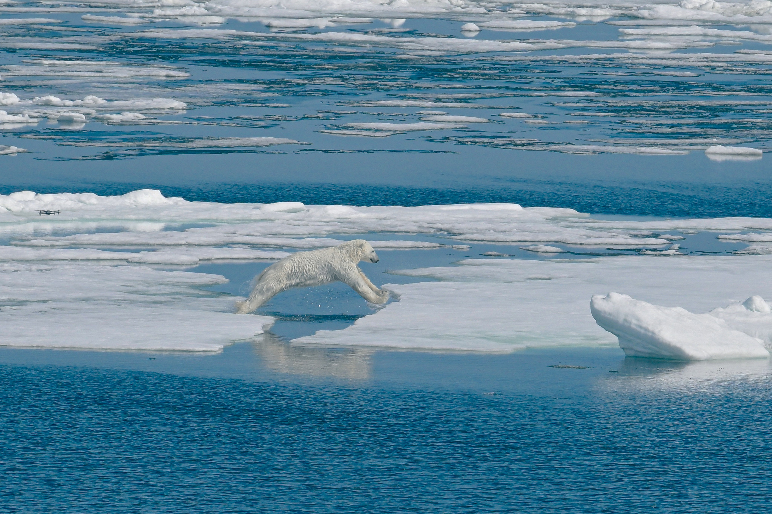 Автор: Юлия Пасечник