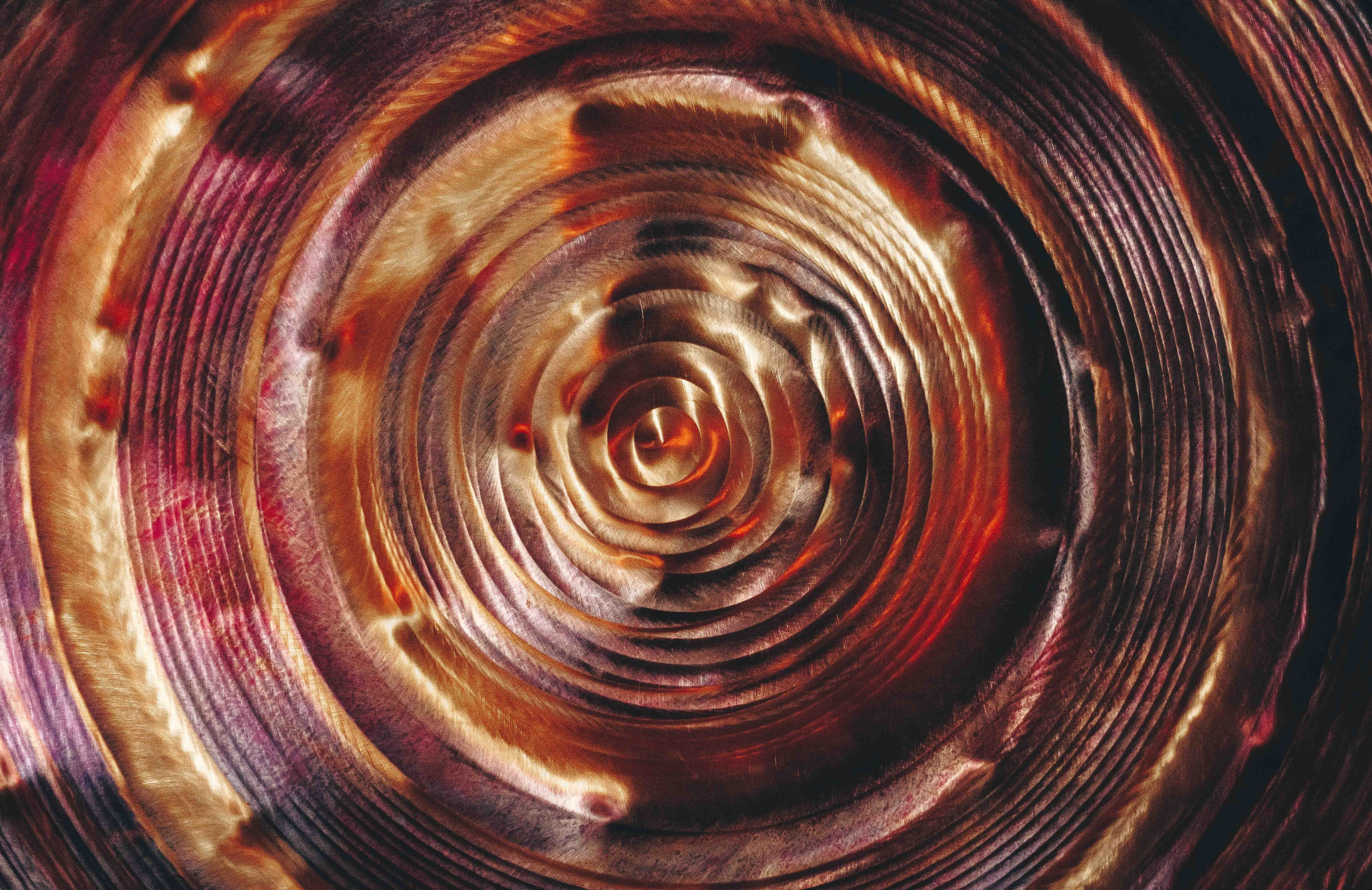 AUM Day. Фотограф Аннё| Москва