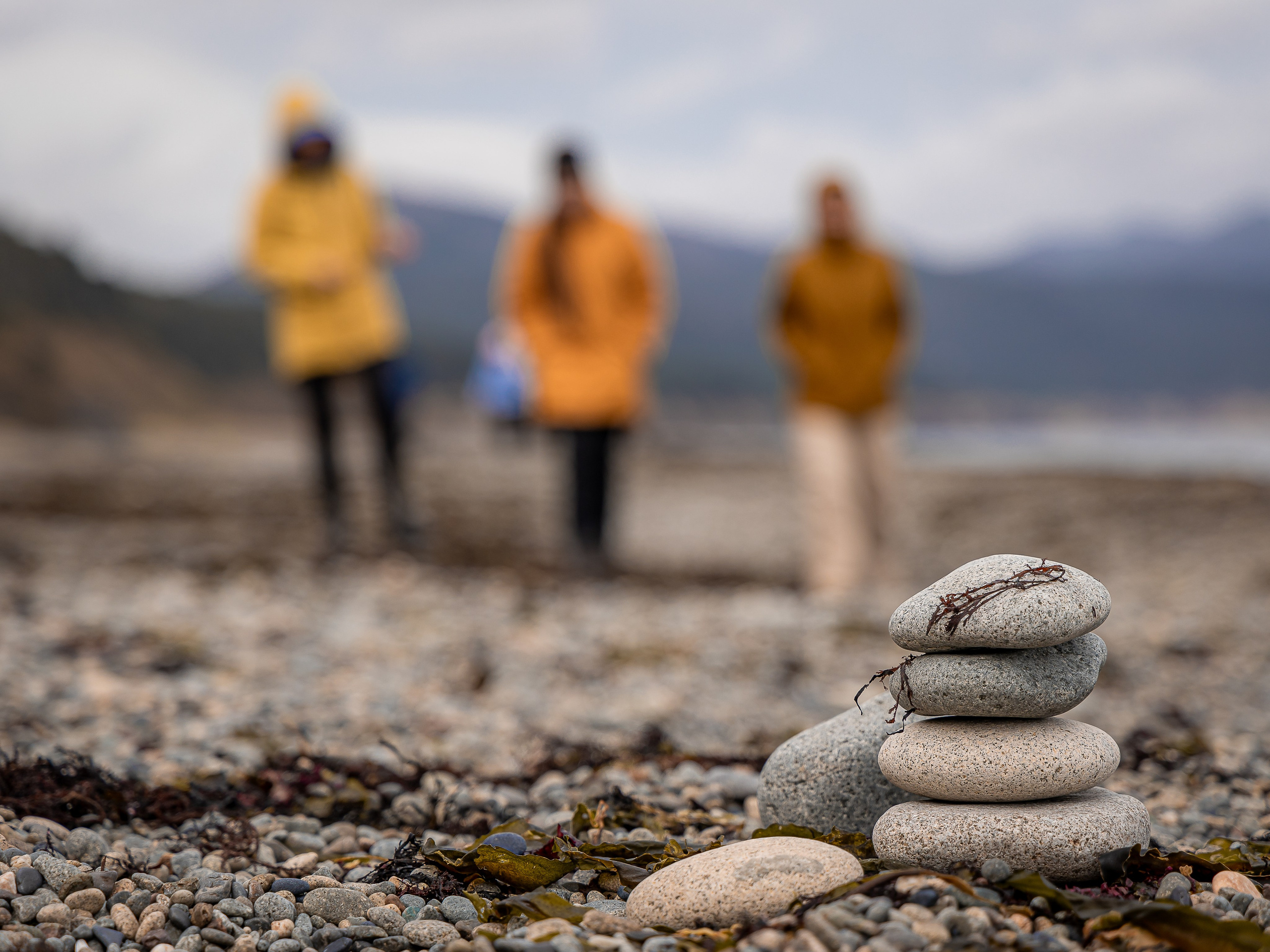 Мыс Великан. Инга Кузьминская ТОП-фотограф г. Корсаков