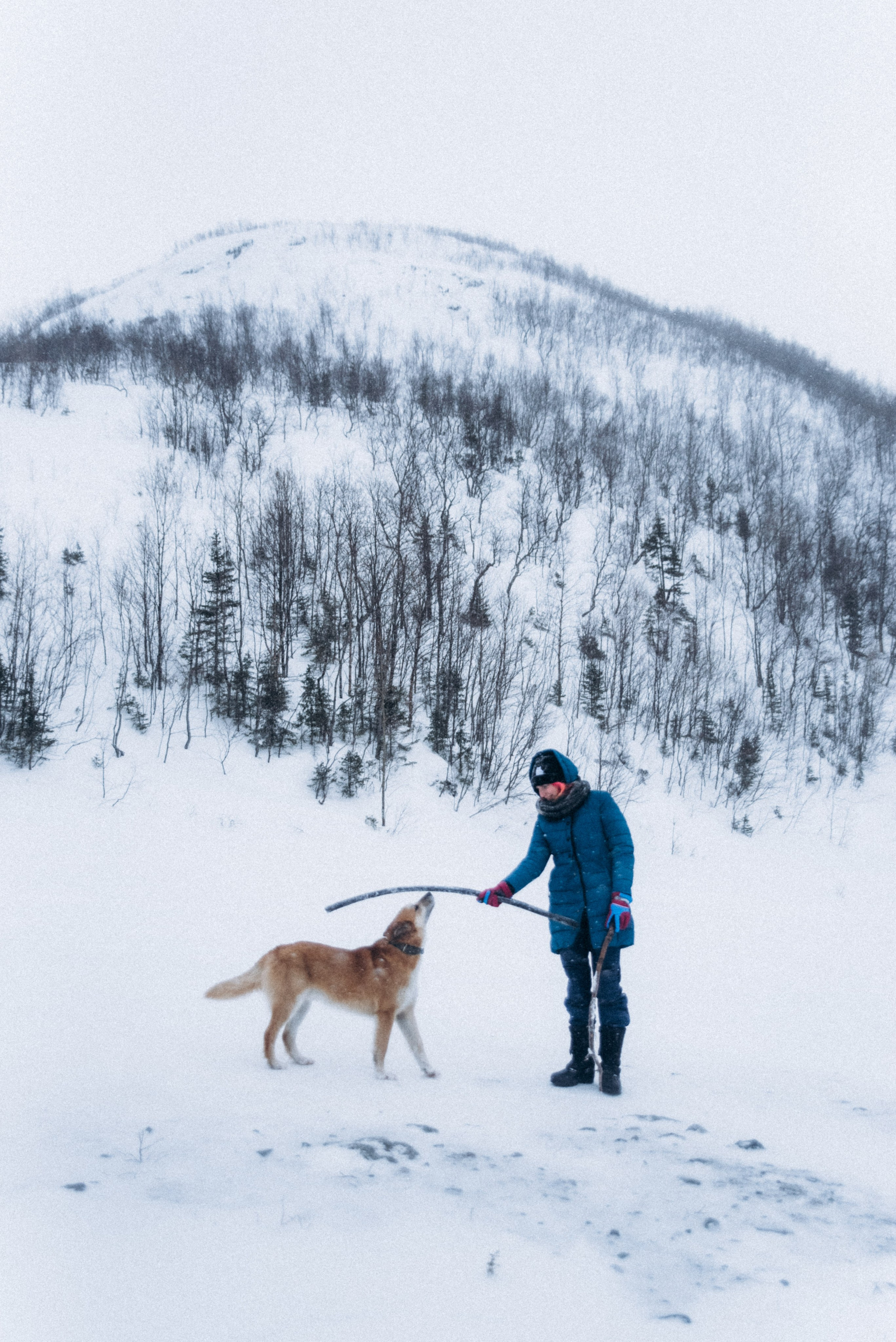 Териберка, Мурманск, Россия 🇷🇺. Anita_photo