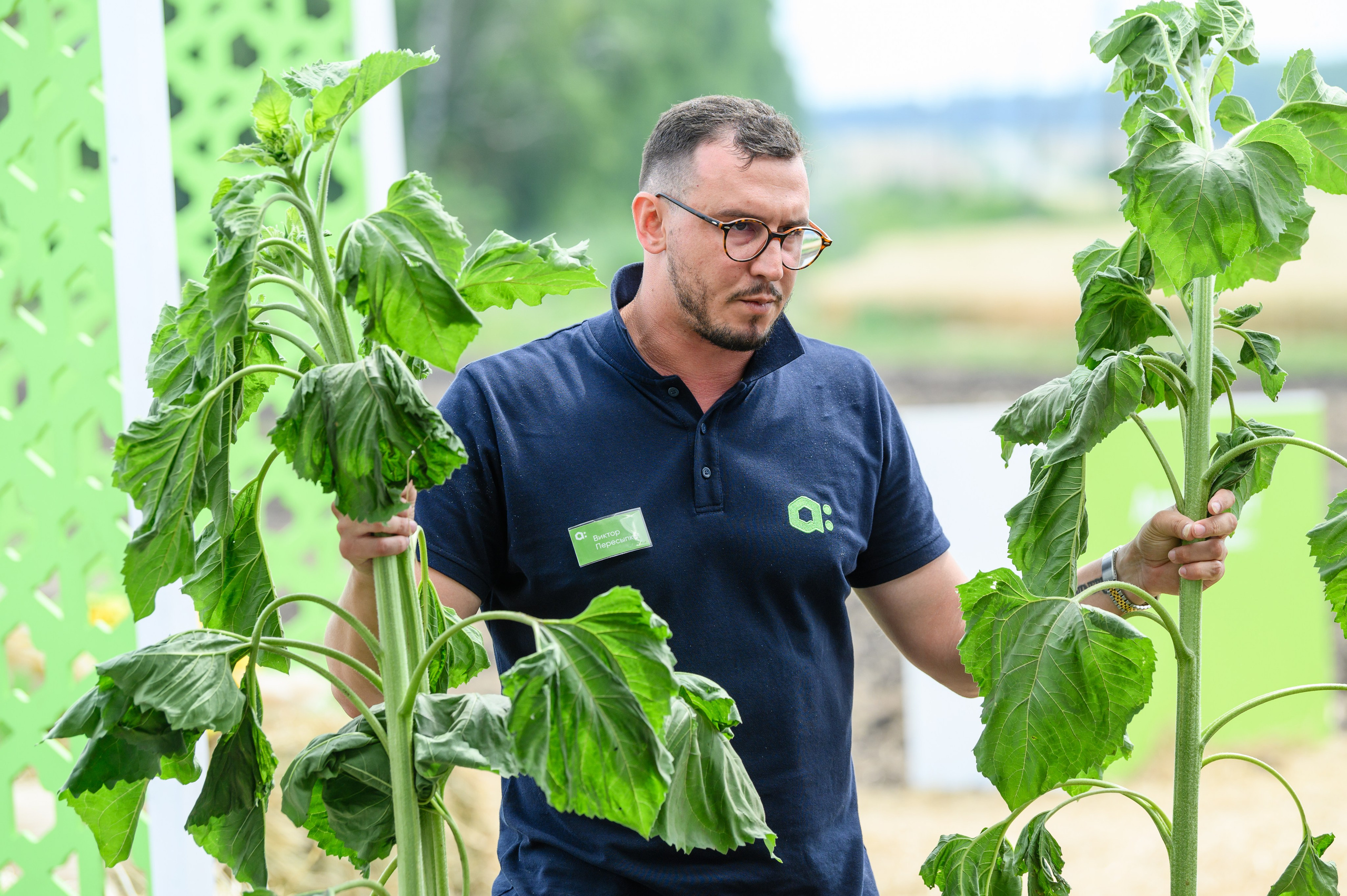 Проекты. Профессиональный фотограф Вячеслав Плацында | Липецк |