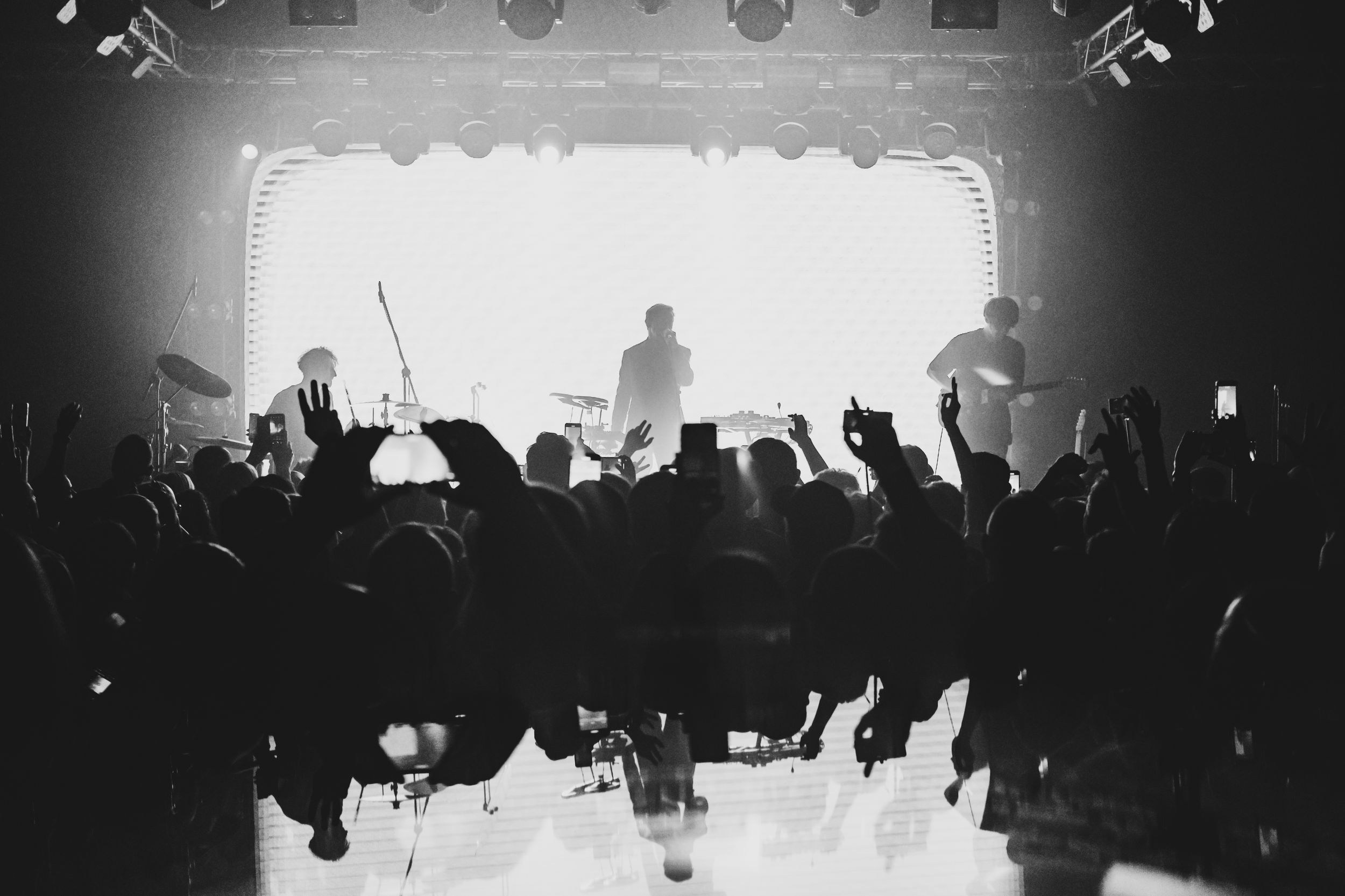 Дельфин. Репортажный фотограф Алексей Пирязев