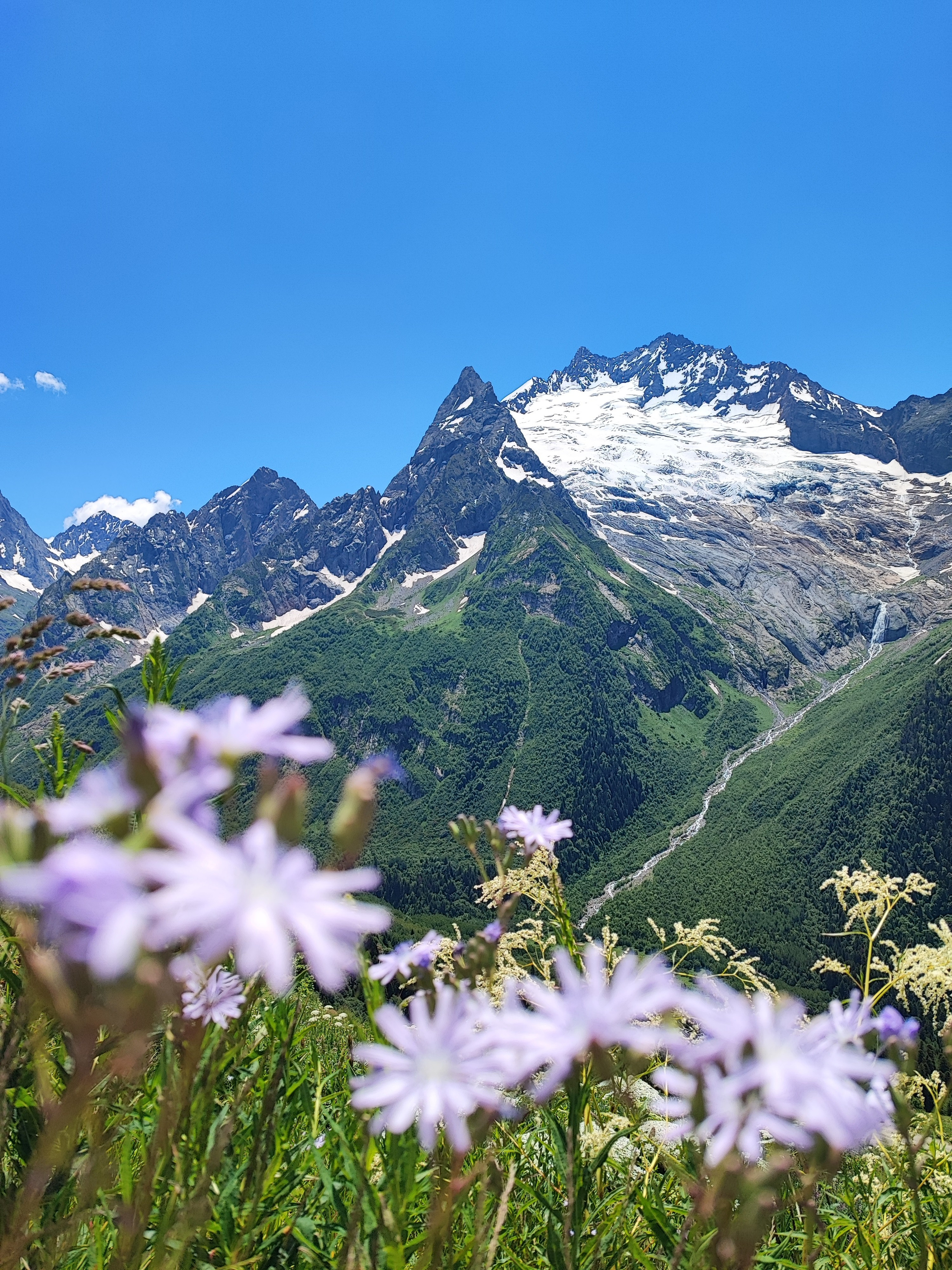 Намобилкус кавказский. Репортажный фотограф Алексей Пирязев
