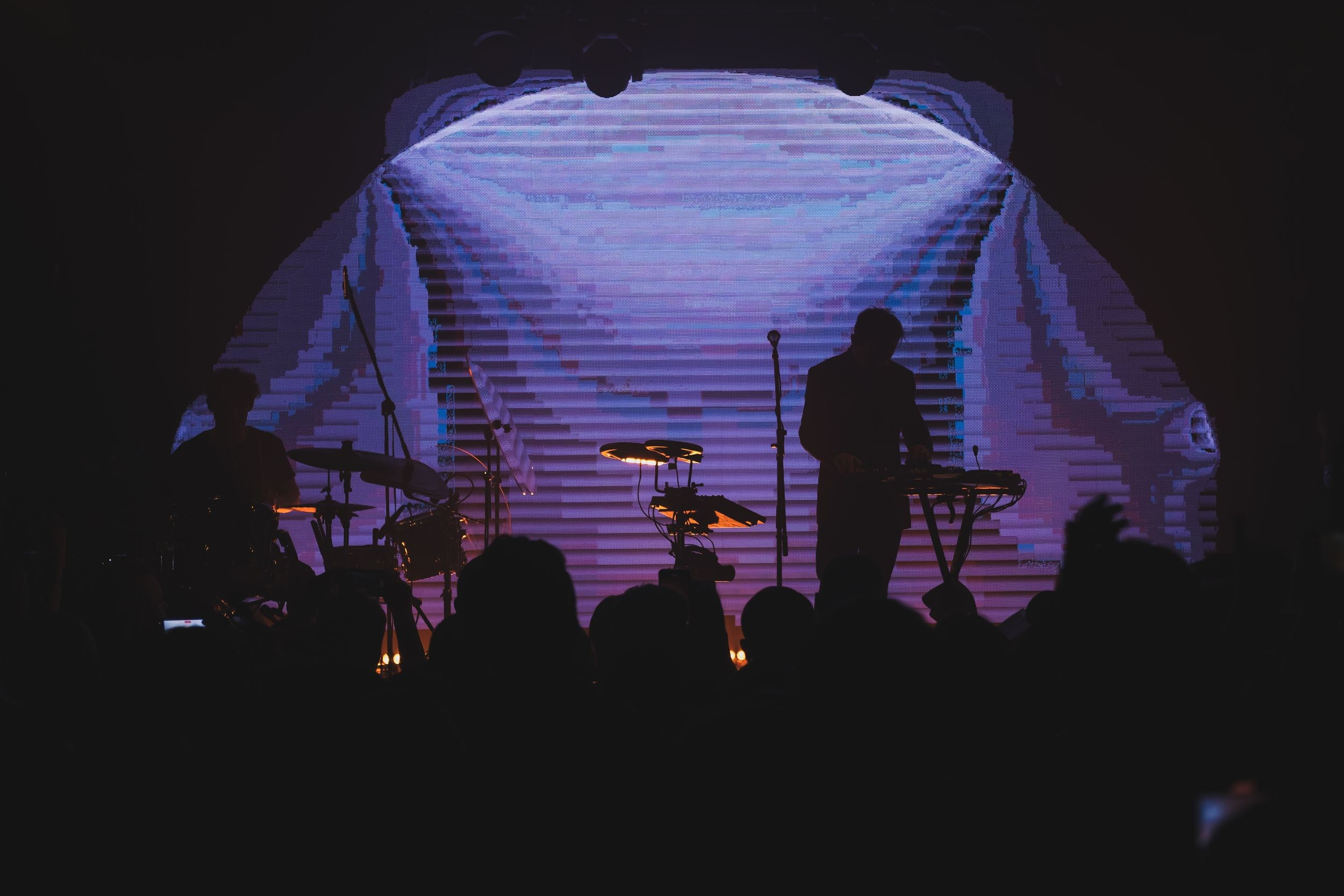 Дельфин. Репортажный фотограф Алексей Пирязев