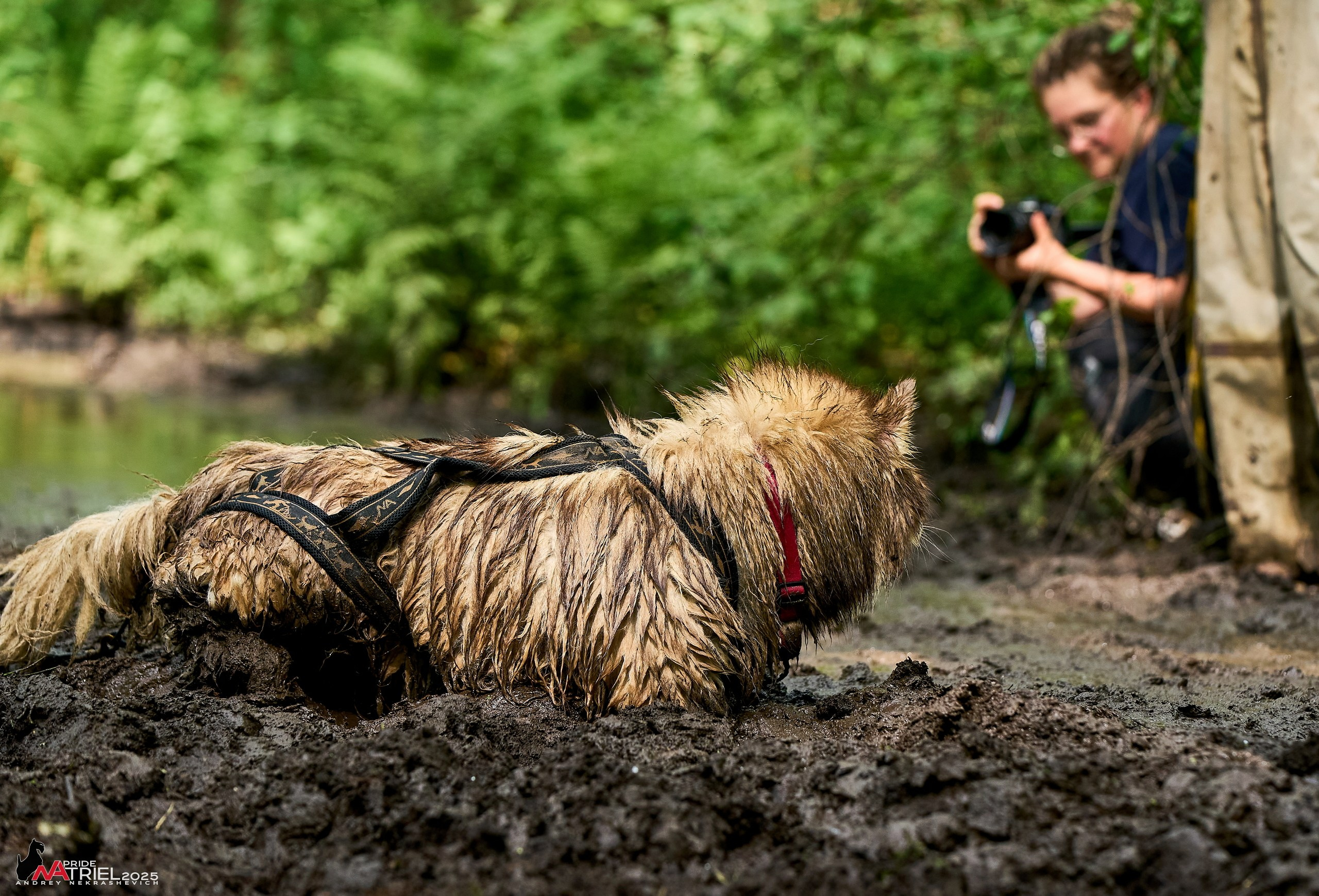 Russian Extreme Dog Trail — 2025