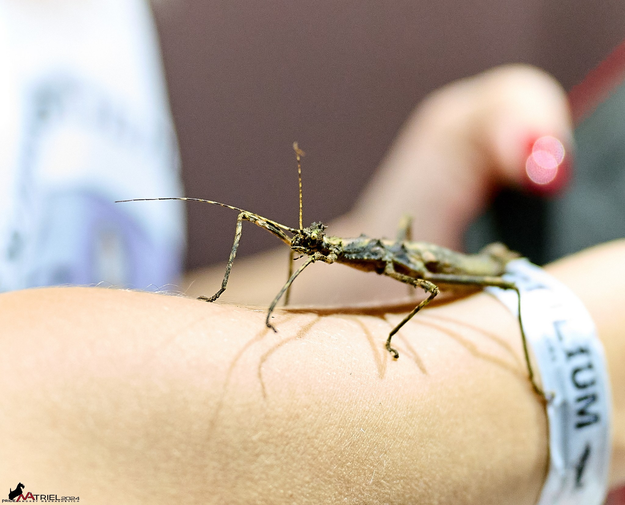 Репортаж с выставки РЕПТИЛИУМ-2024