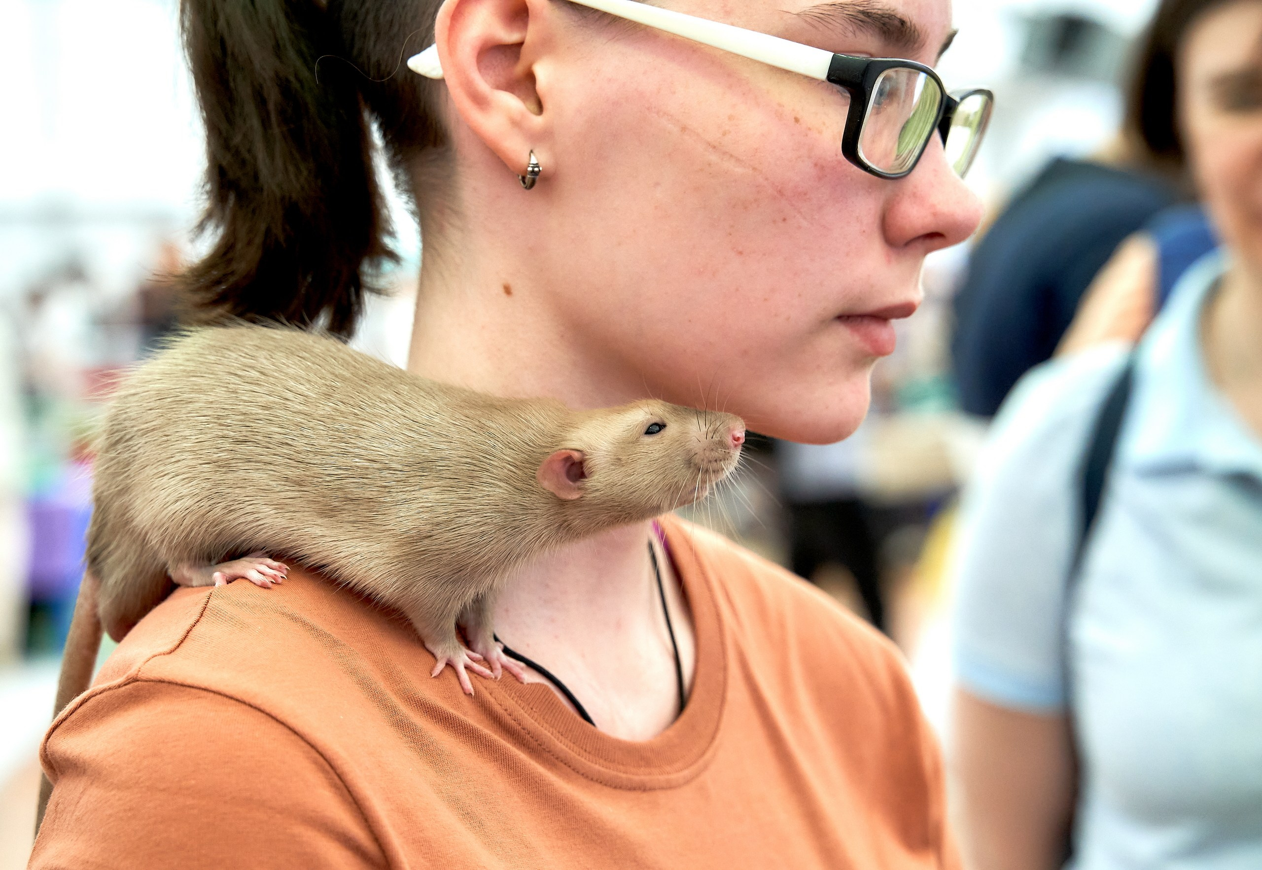 Животные — галерея NATRIEL