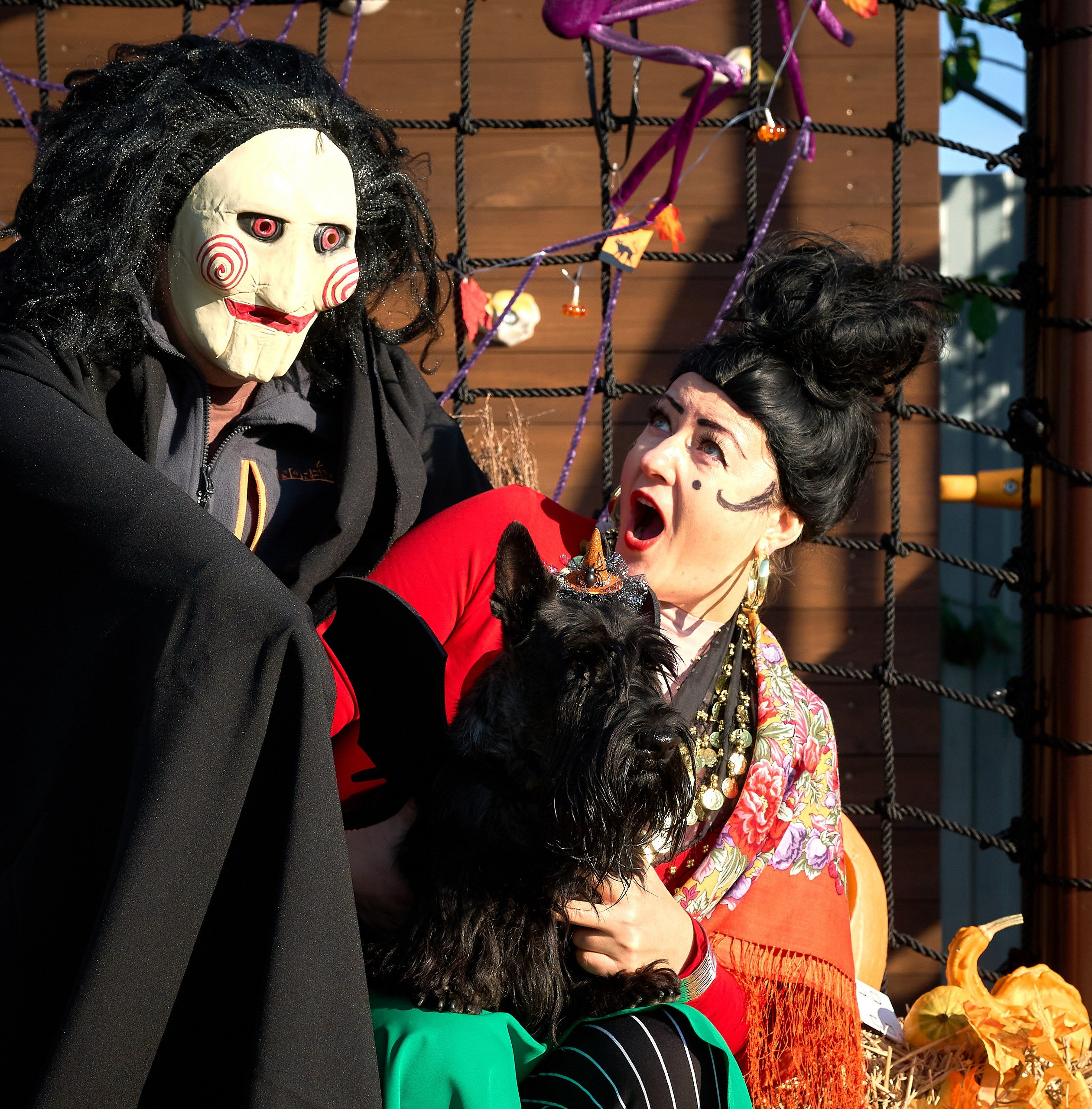 Мероприятия с собаками — галерея NATRIEL