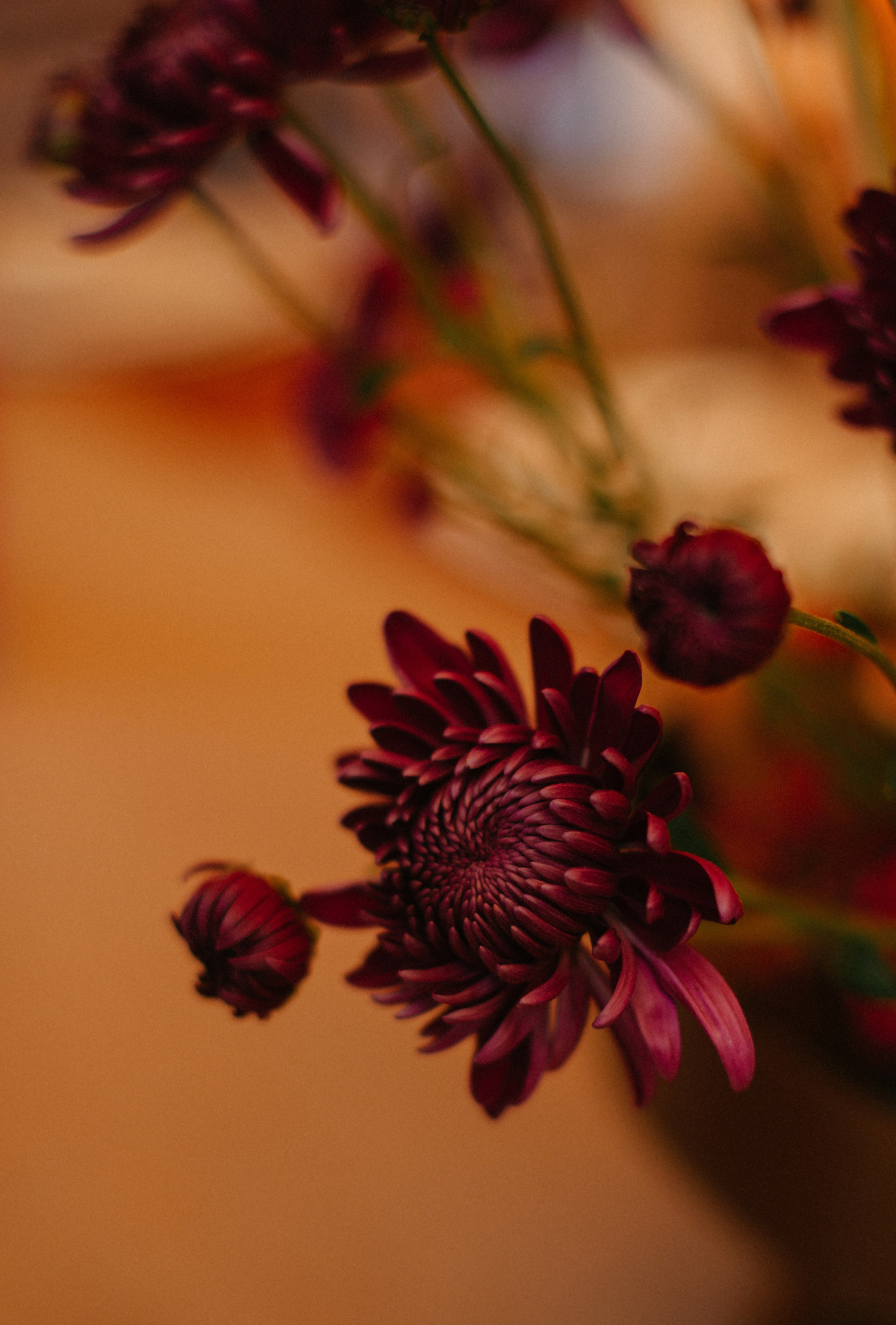 Роман и Лиза (г.Севастополь). Свадебный, женский, семейный фотограф в Севастополе Юлия Мошенко