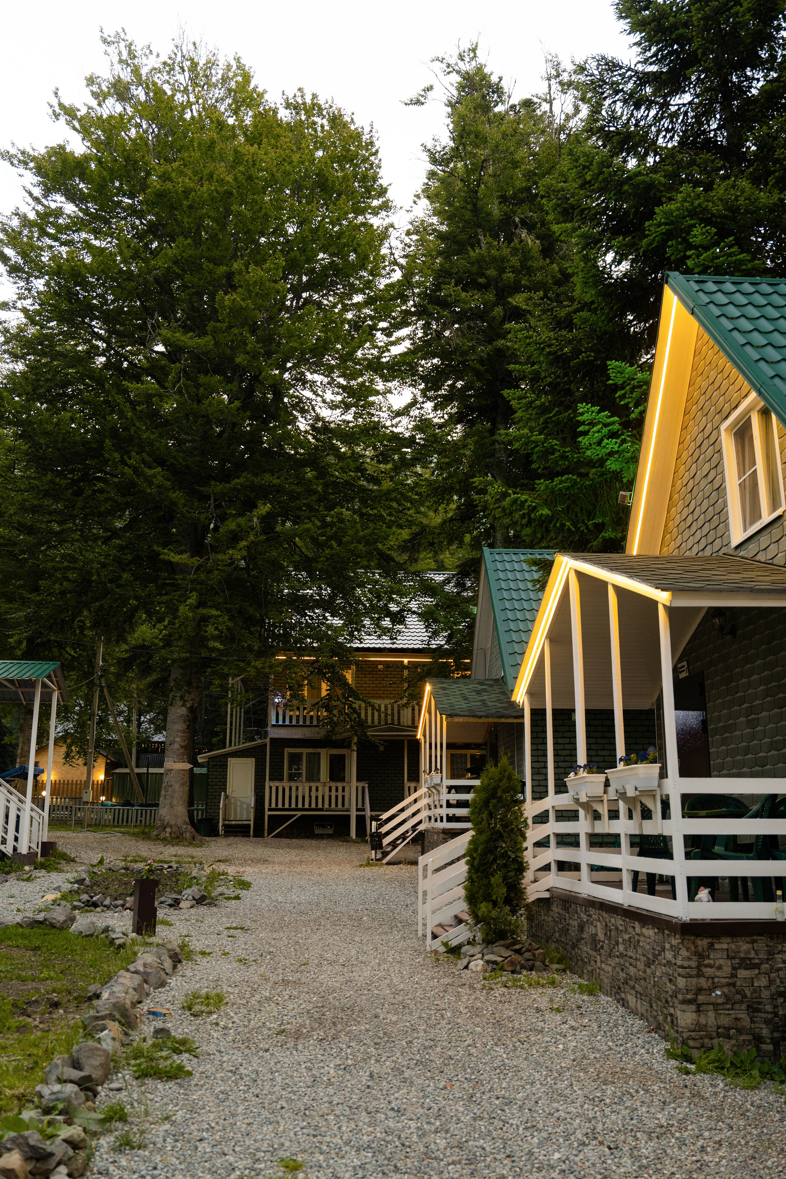 Green Park. Фотограф и видеограф Елена Хмелевская