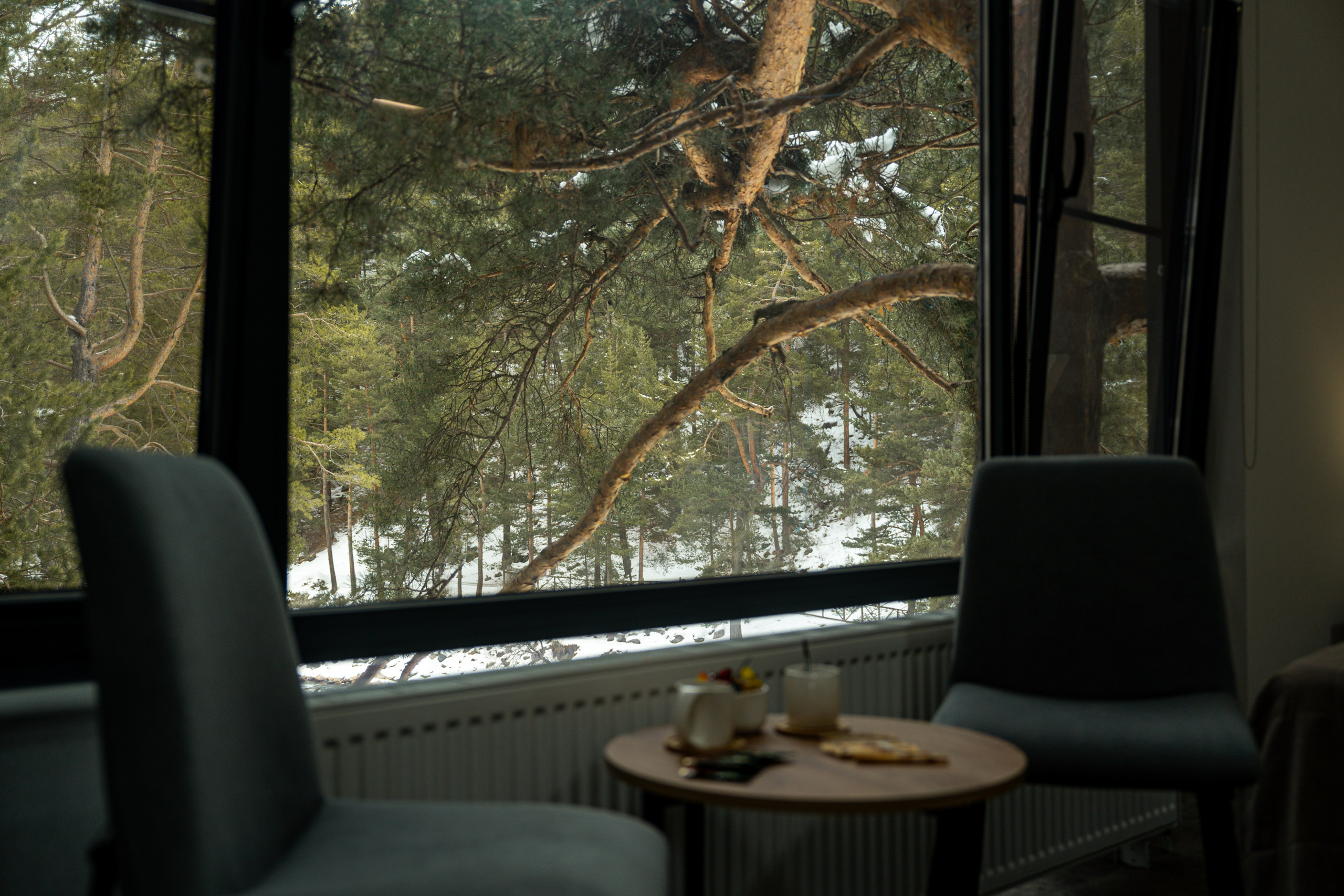 Эклер. Фотограф и видеограф Елена Хмелевская