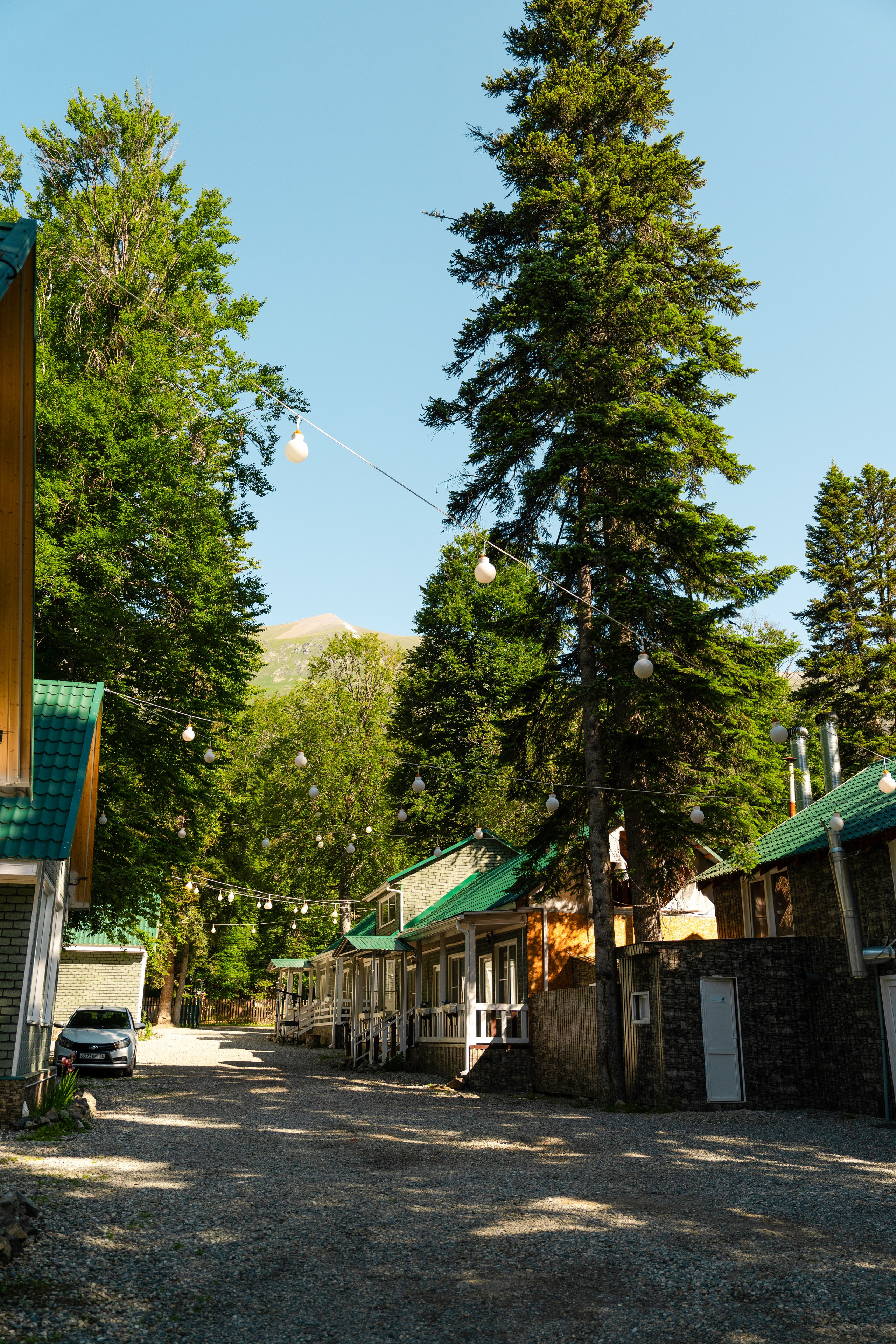 Green Park. Фотограф и видеограф Елена Хмелевская