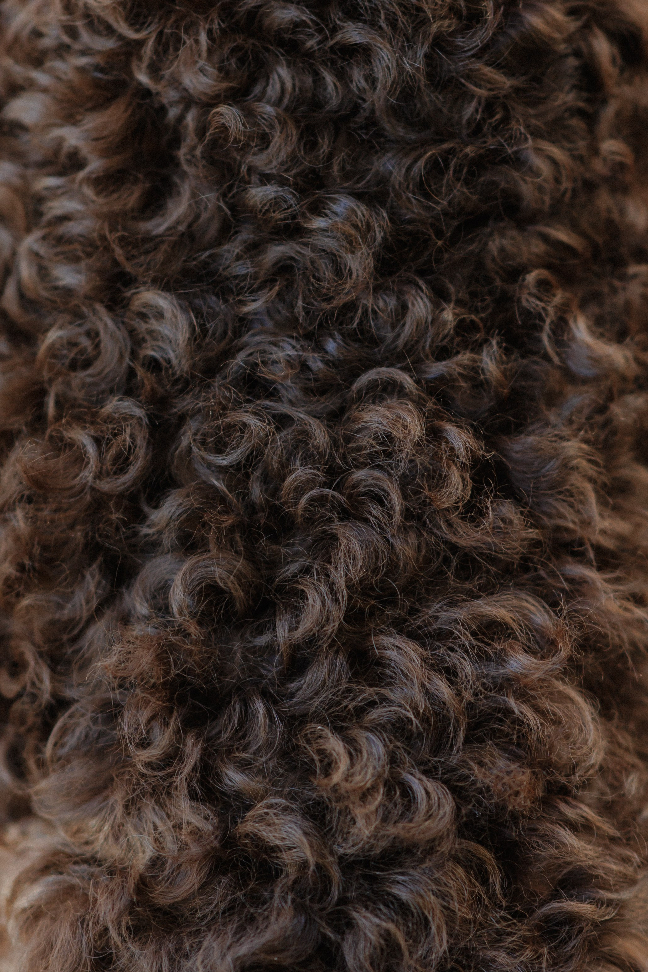 Ксения и Лео. Фотограф в Санкт-Петербурге Алёна Губинская