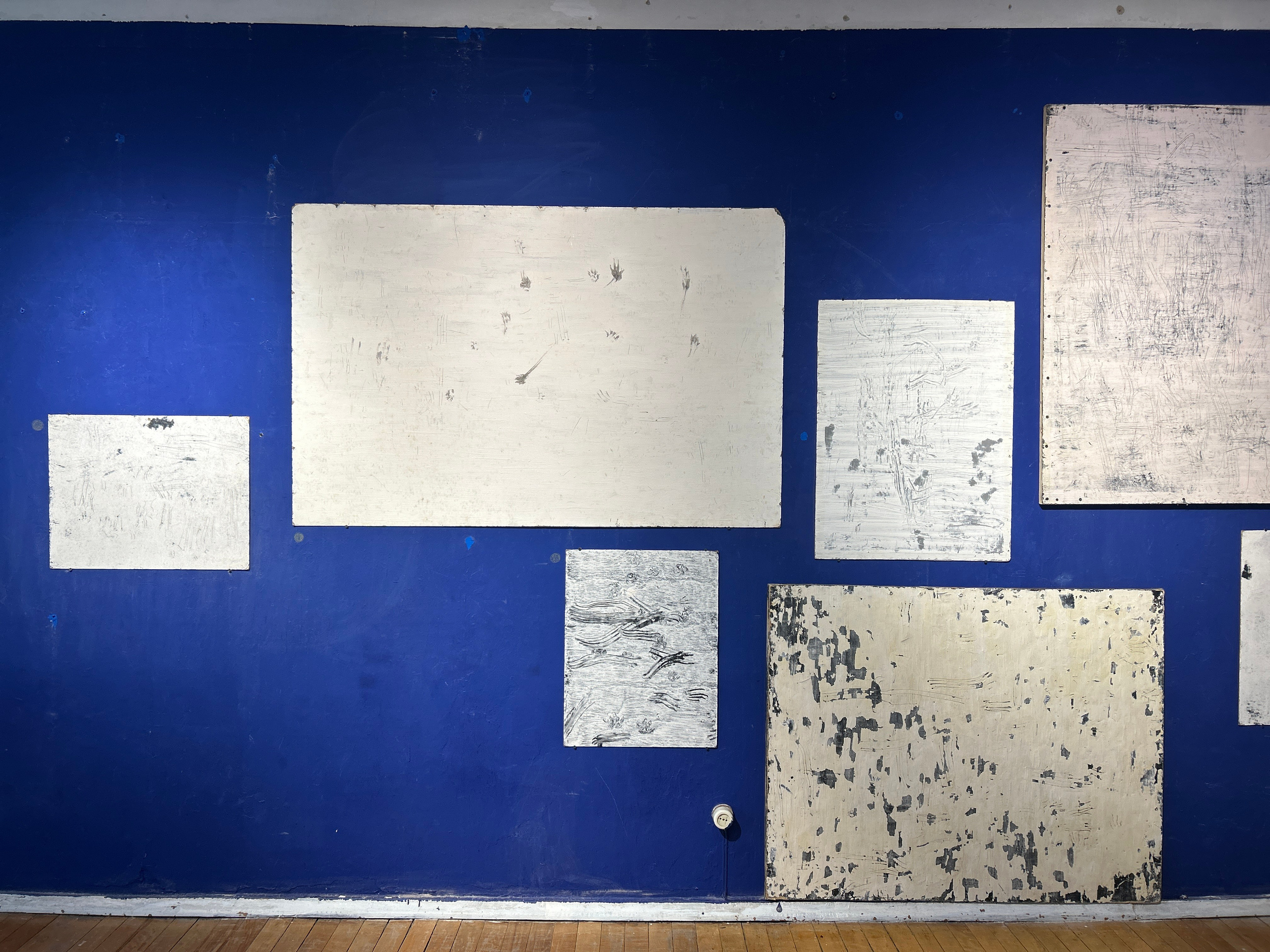 Коты-художники. Илья Крончев-Иванов