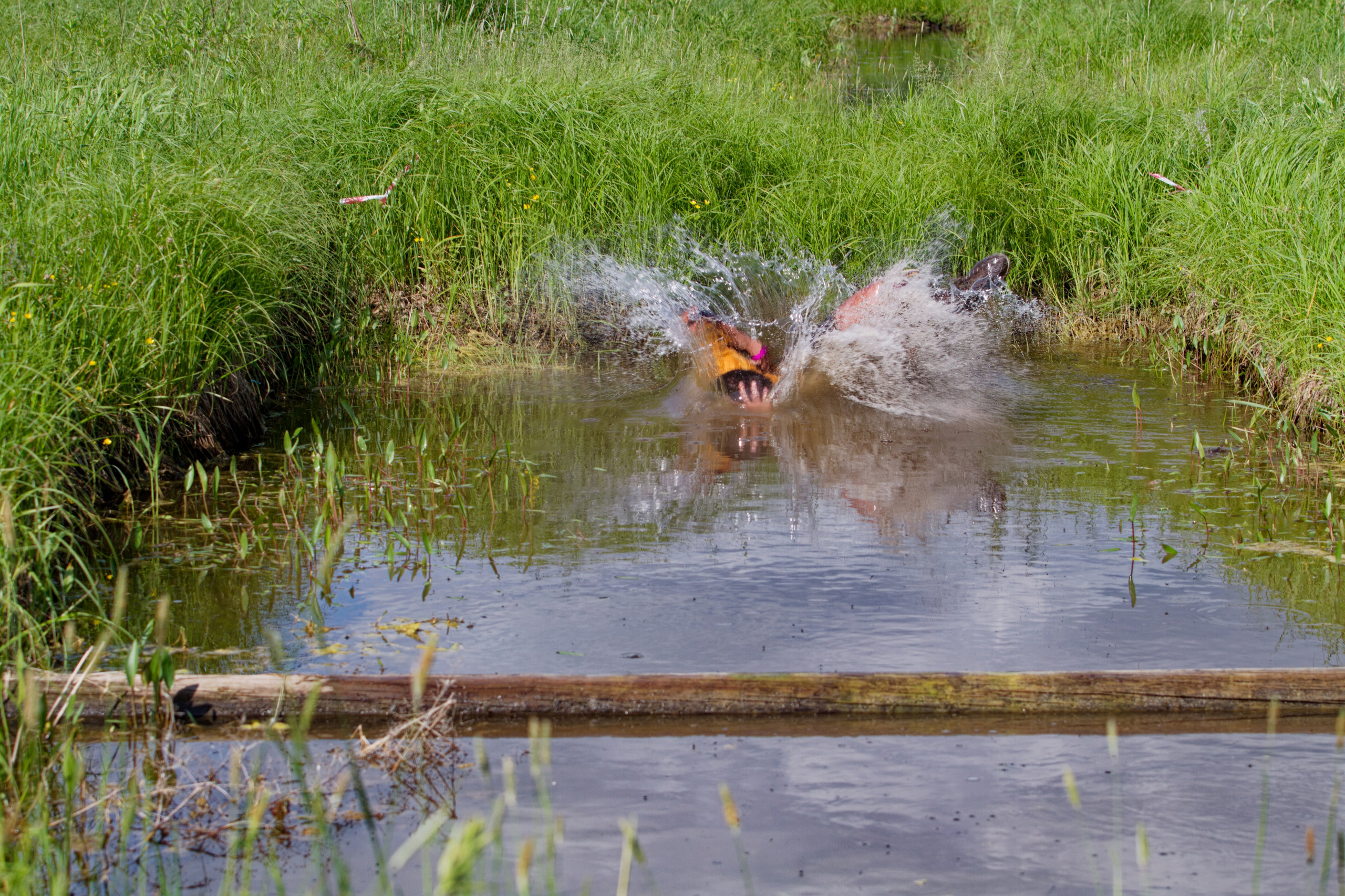 Родео59. Репортажный и спортивный фотограф в г. Пермь Зильберг Павел