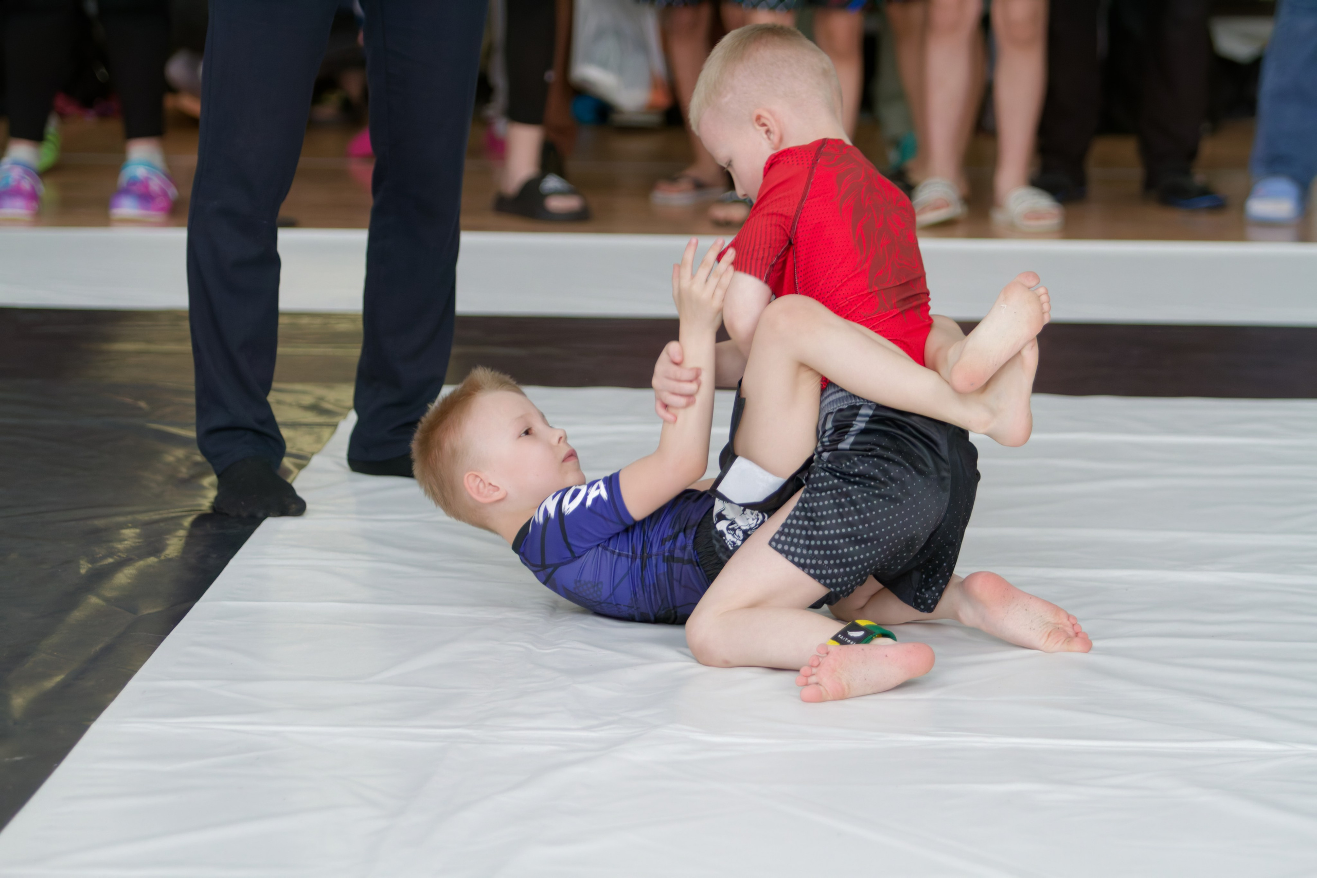 Борьба. Джиу-джитсу 26.04.2025. Репортажный и спортивный фотограф в г. Пермь Зильберг Павел