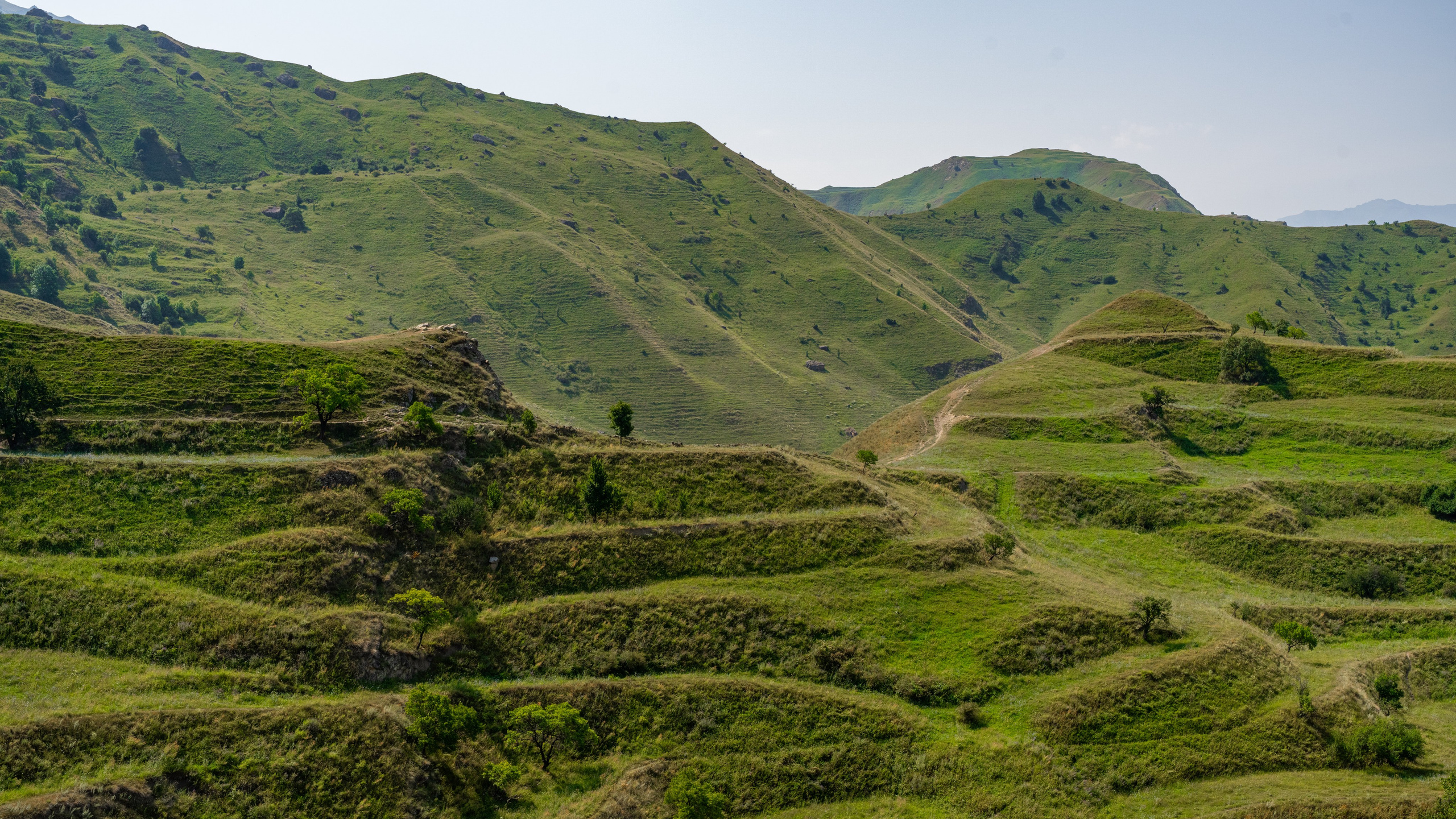 Дагестан. Фотограф в Москве. Шахабудин