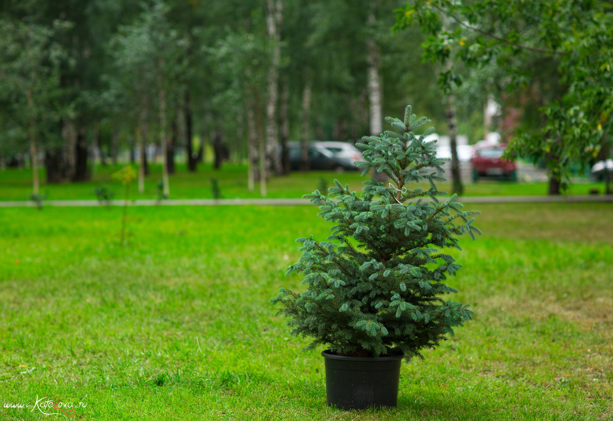 Отчет с открытия центра. Детский и семейный фотограф в Москве Катерина Орлова