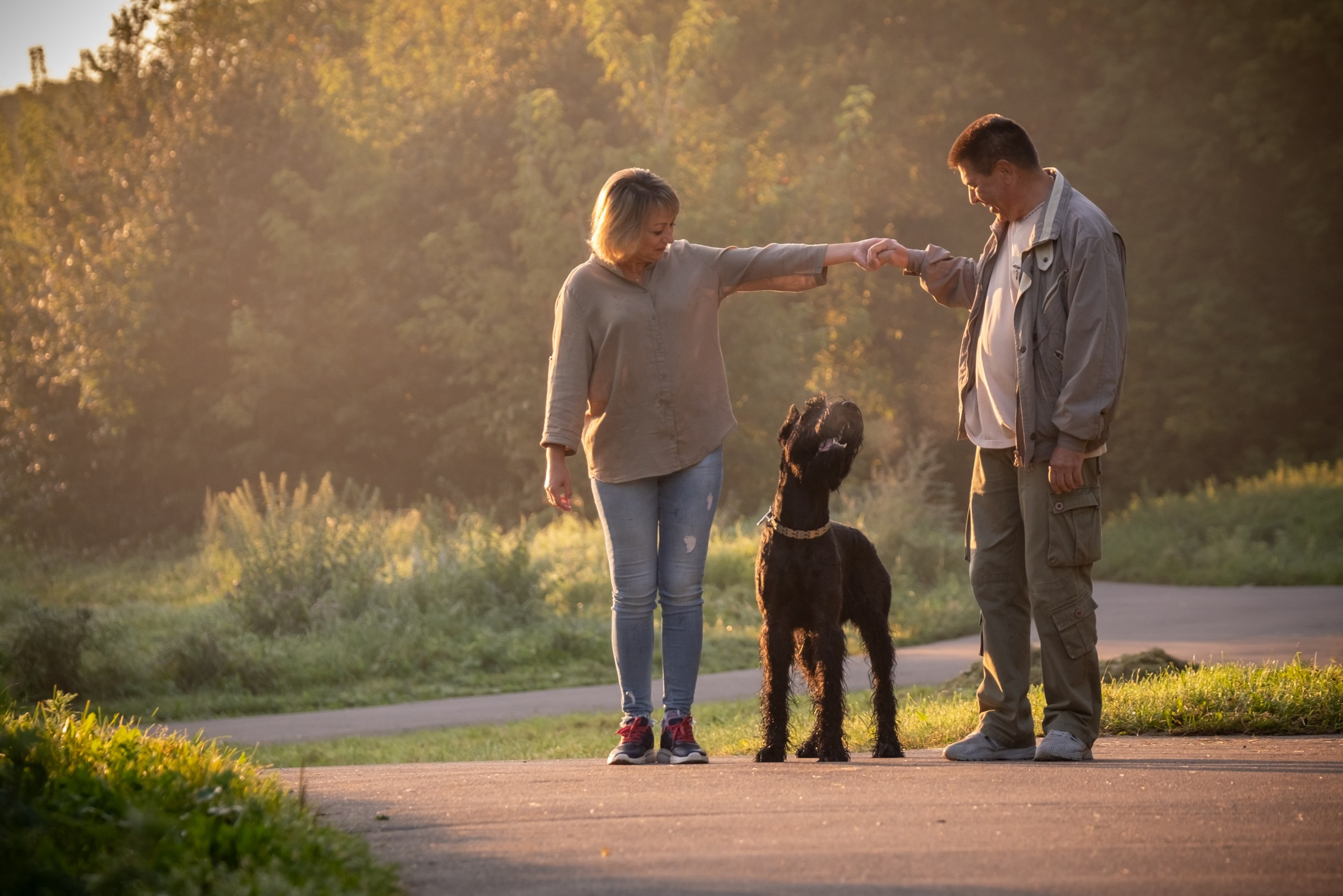 Прекрасная семья Ксении. Зоофотограф, фотограф животных в Москве и области Дина Дамоцева