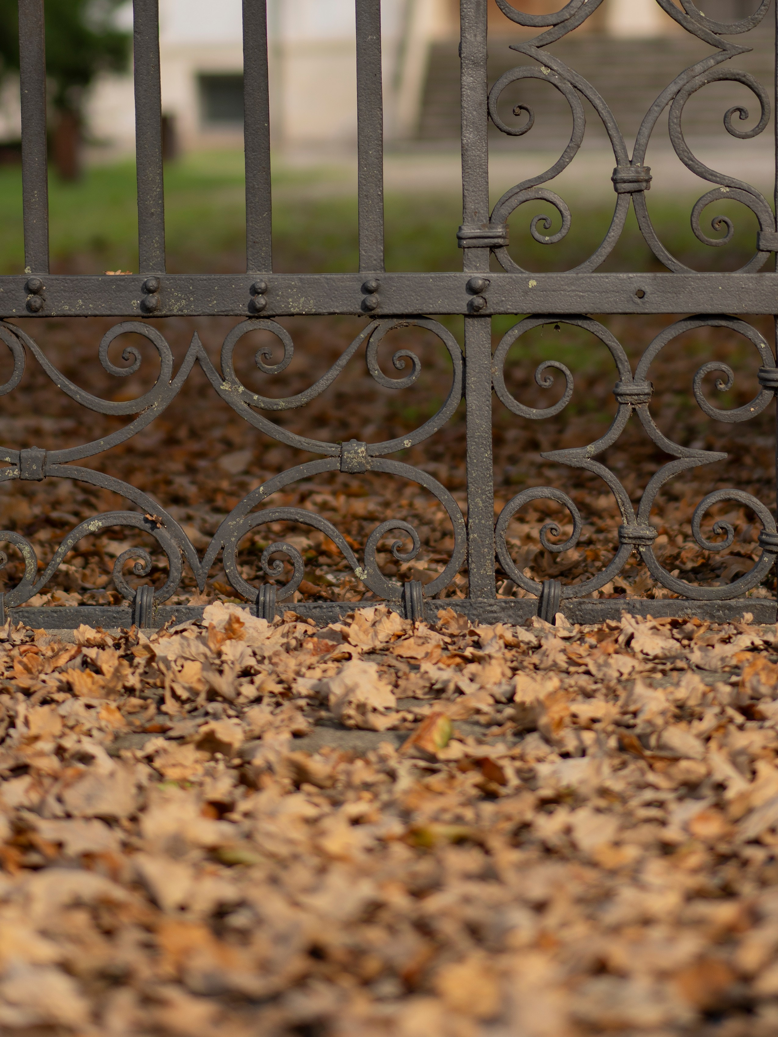Италия. Зарисовки путешествий. Творческий фотограф Ирина Баландина.  Санкт-Петербург, Мурманск