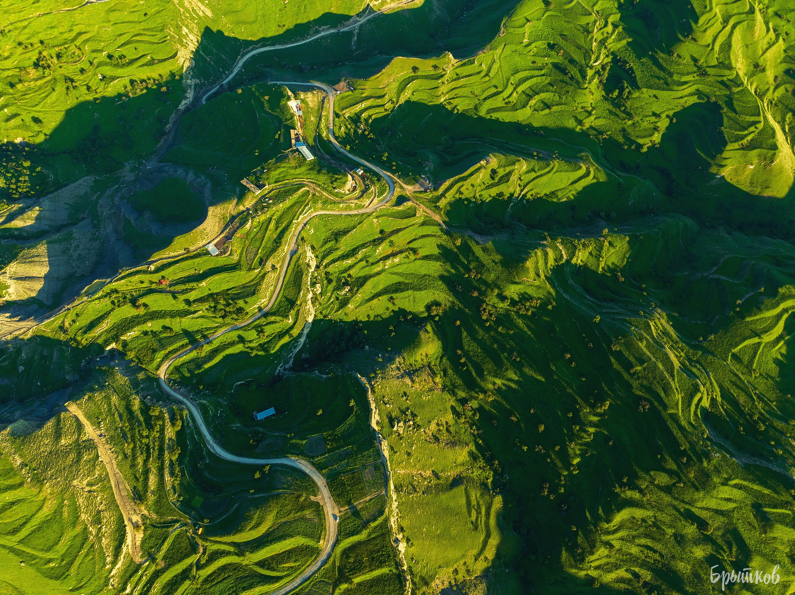 Чох. Николай Брытков — фотограф в Туле