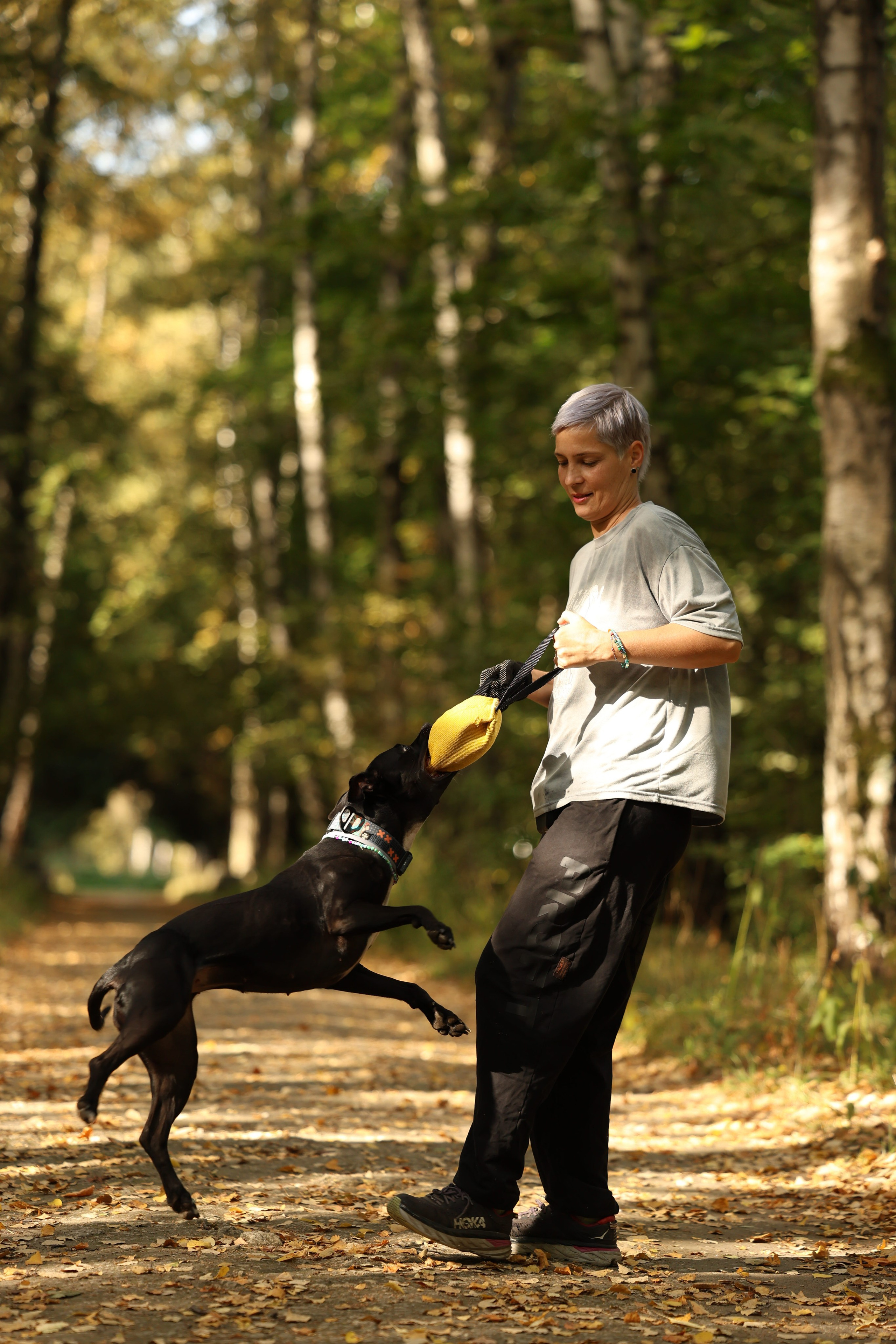 Алена и Бора. Виктория Михайловская. Фотограф-анималист. Москва