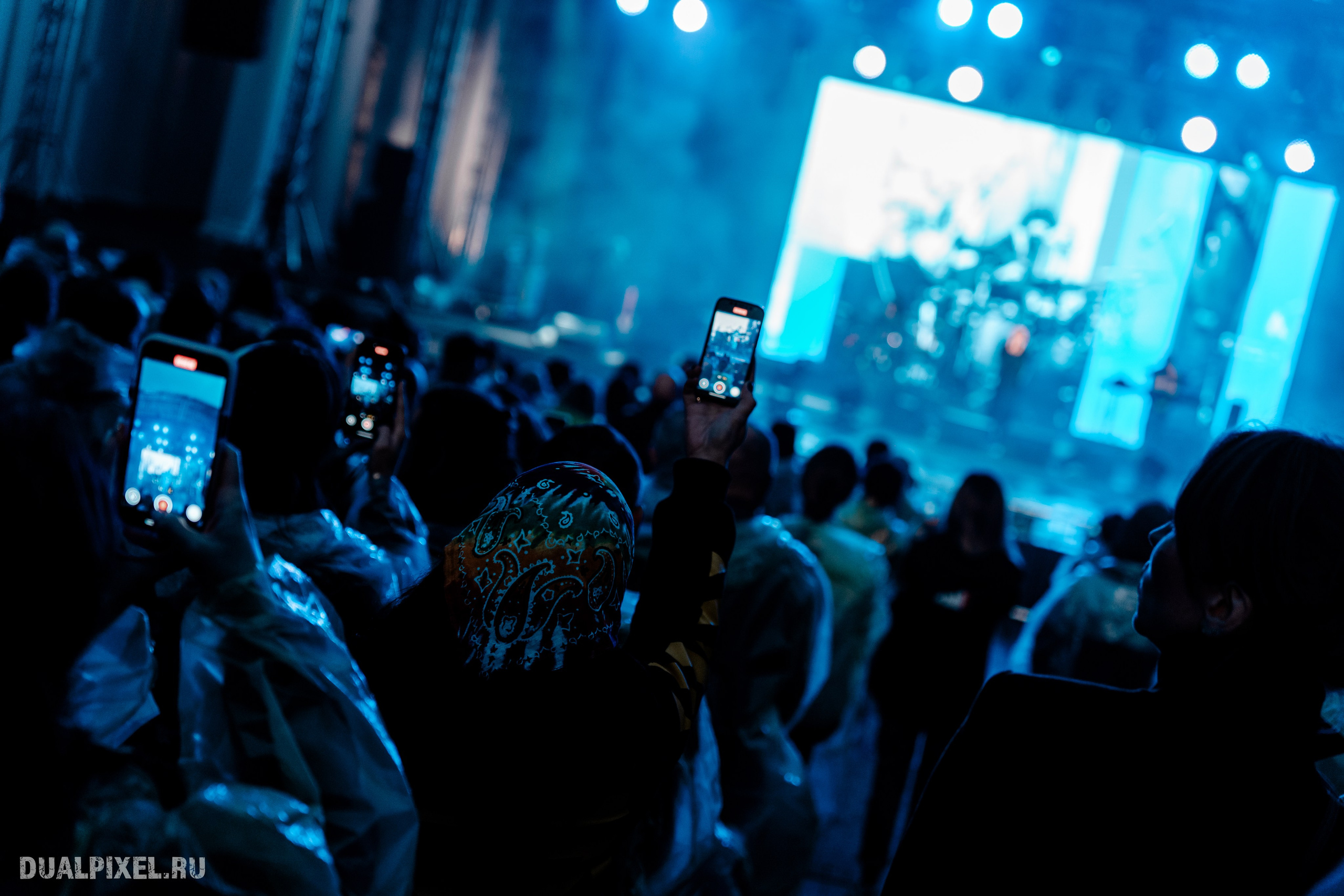 Танцы Минус. Магия музыки в кадре: Концертная Фотография