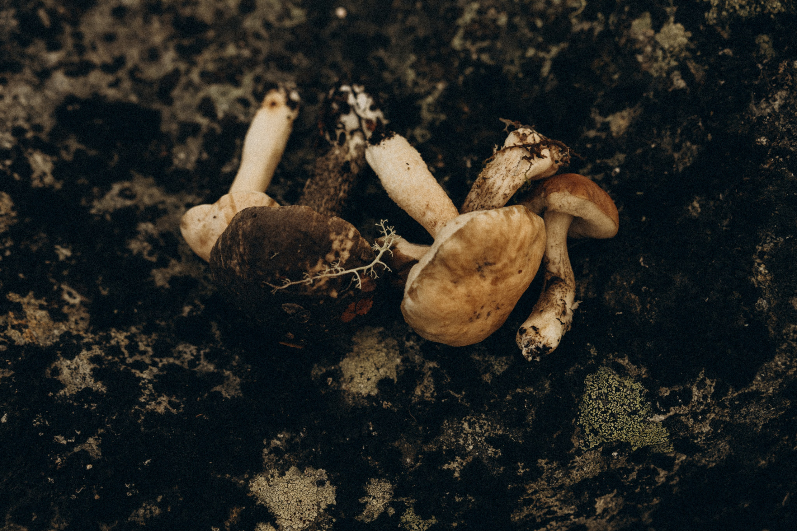 Самолетик в тундру. Семейный фотограф в Мурманске Екатерина Юшкова