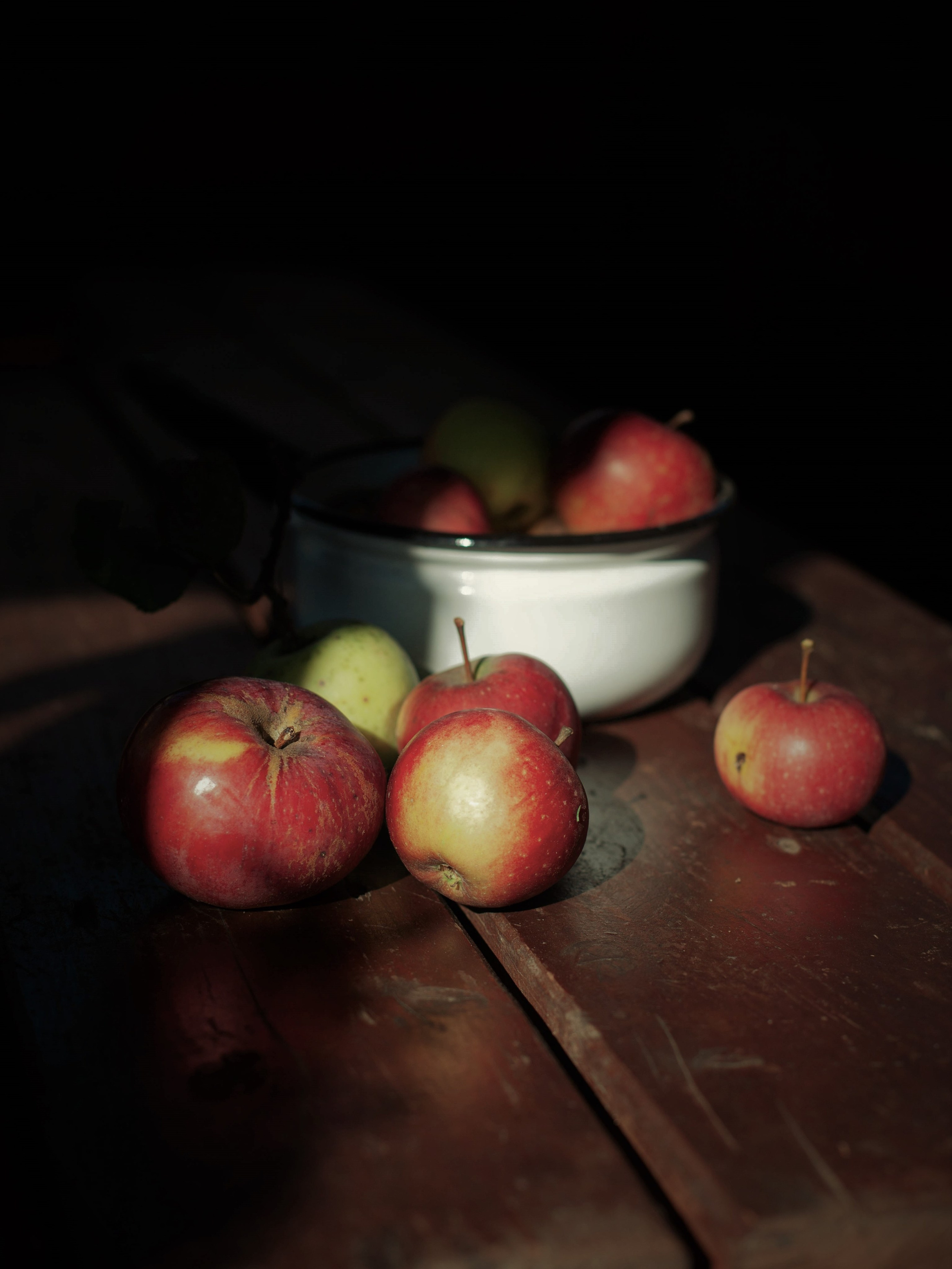 Ростов-на-Дону «МИР В ДЕТАЛЯХ». ARTEXPOPHOTO