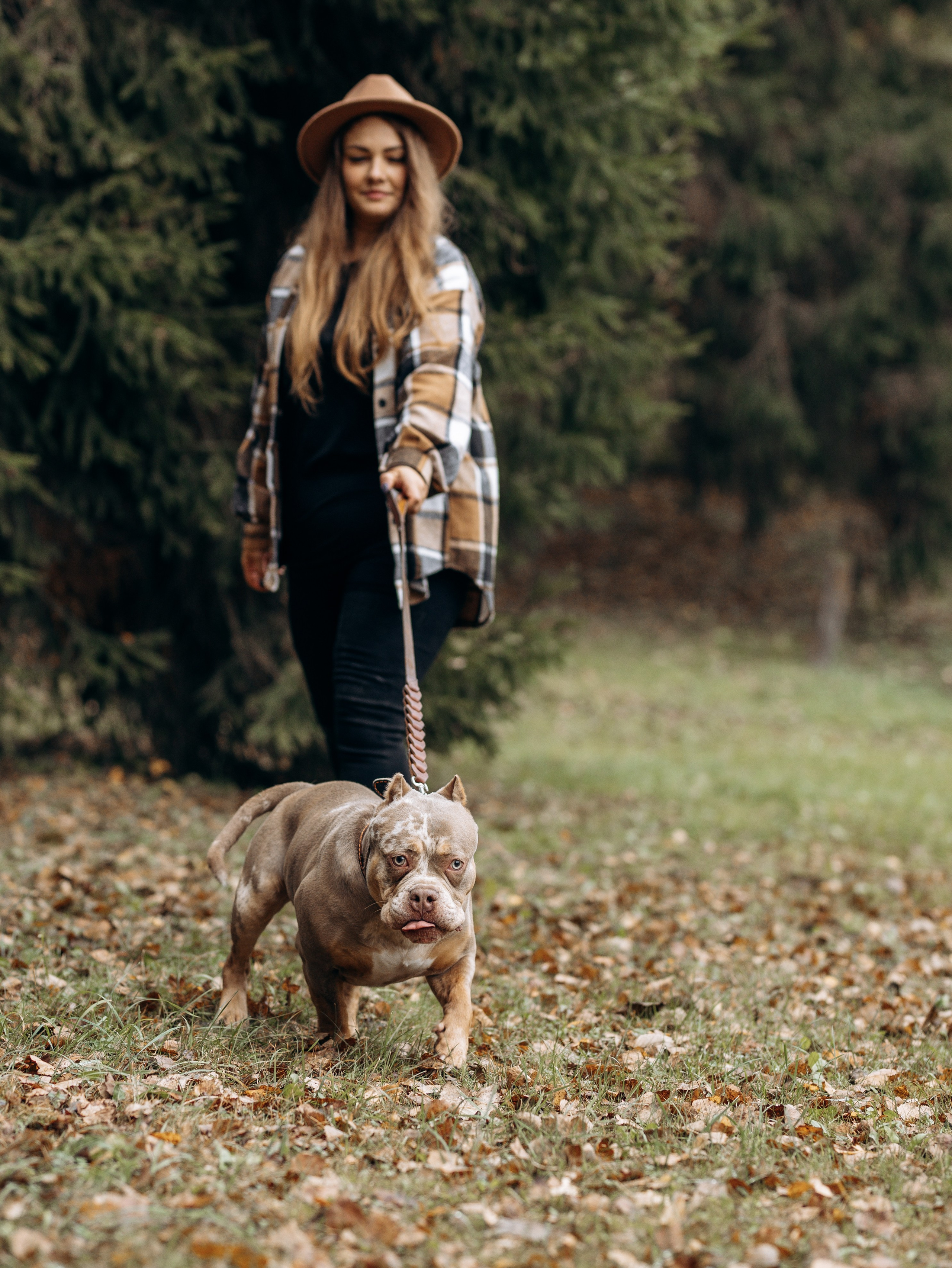 Скай, Марти и Катя. Фотограф-анималист в Москве Кириллова Татьяна