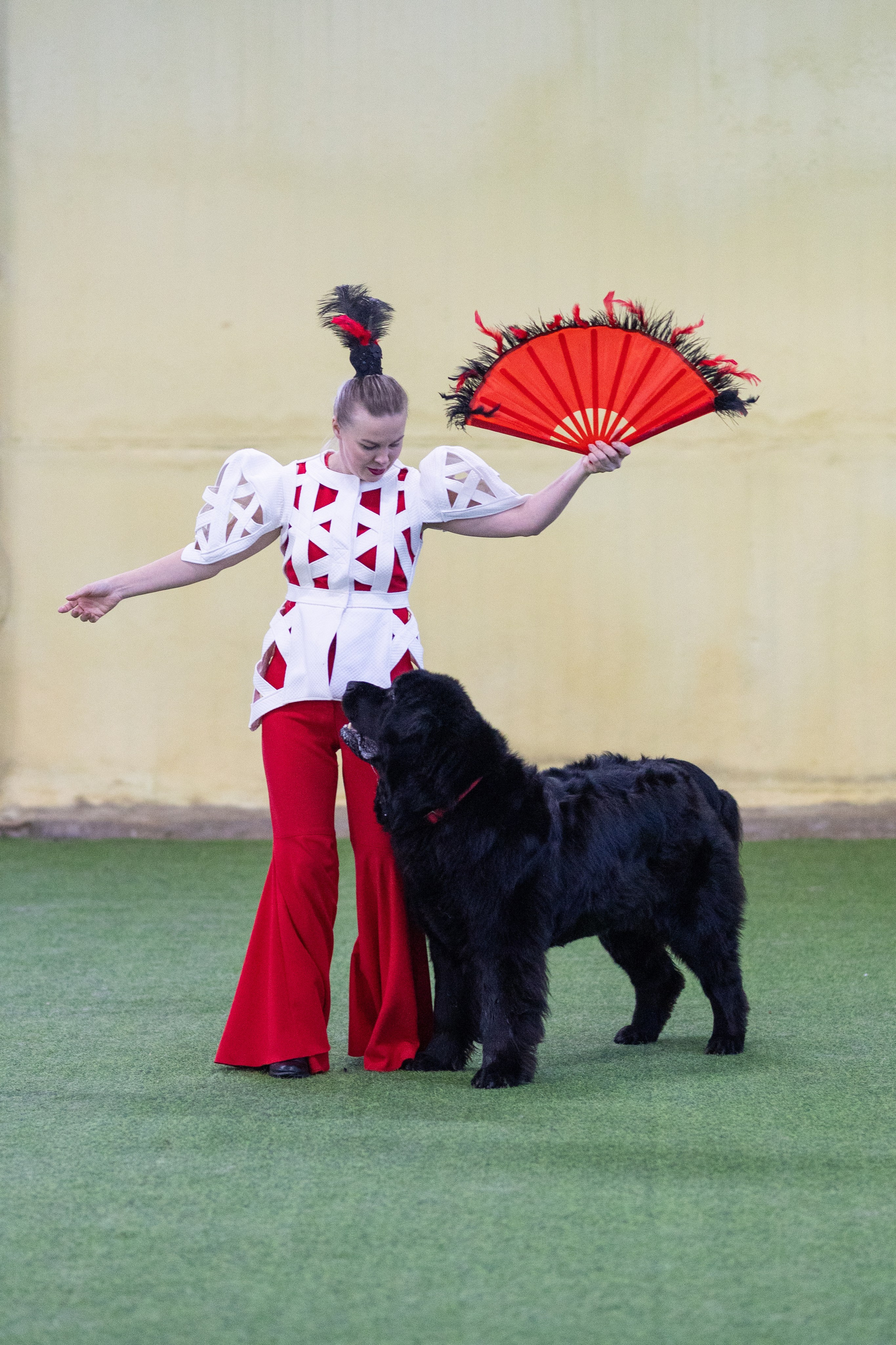 Соревнования танцы. Фотограф-анималист в Москве Кириллова Татьяна