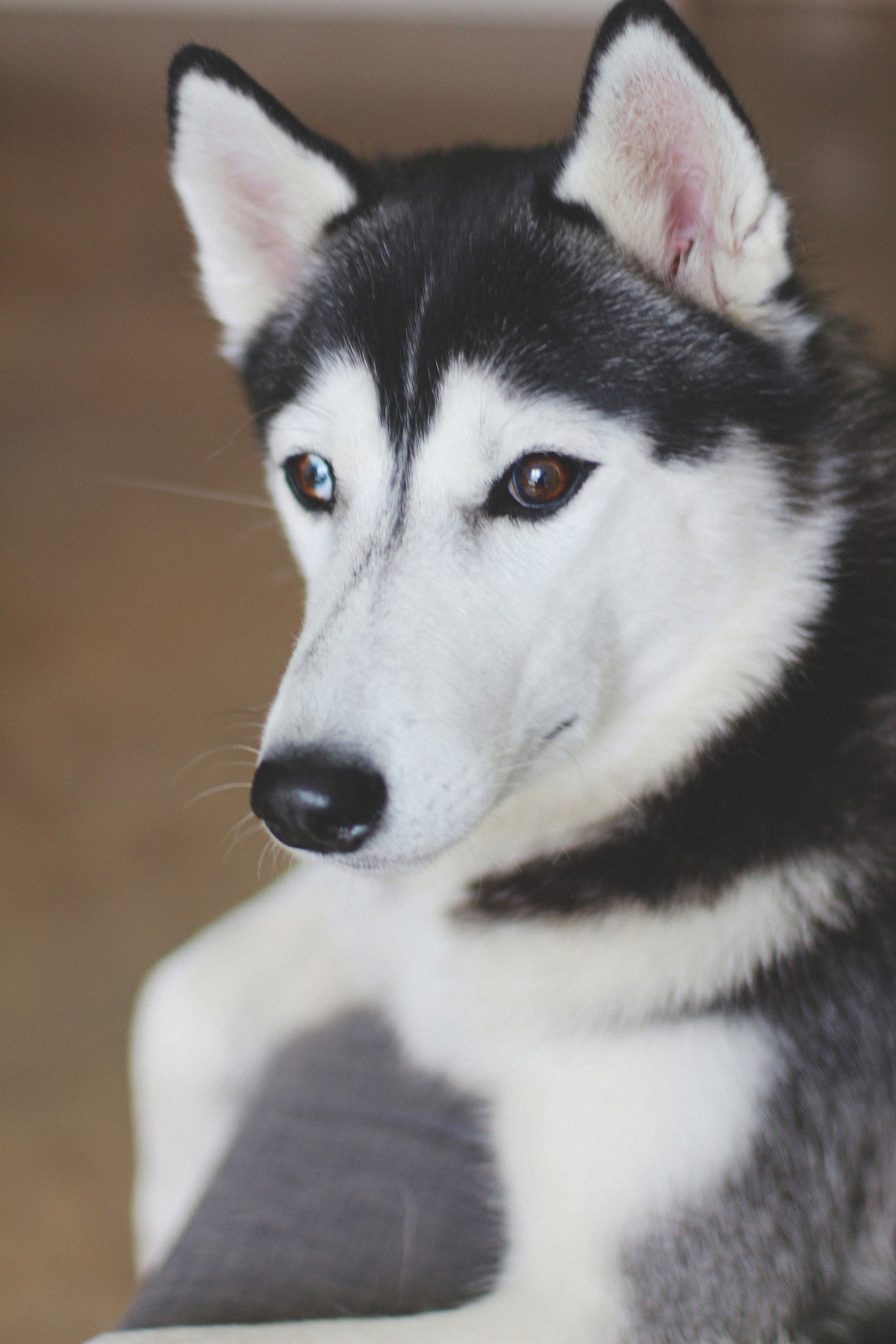 Марта. Фотограф Адигамова Юлия в Петербурге