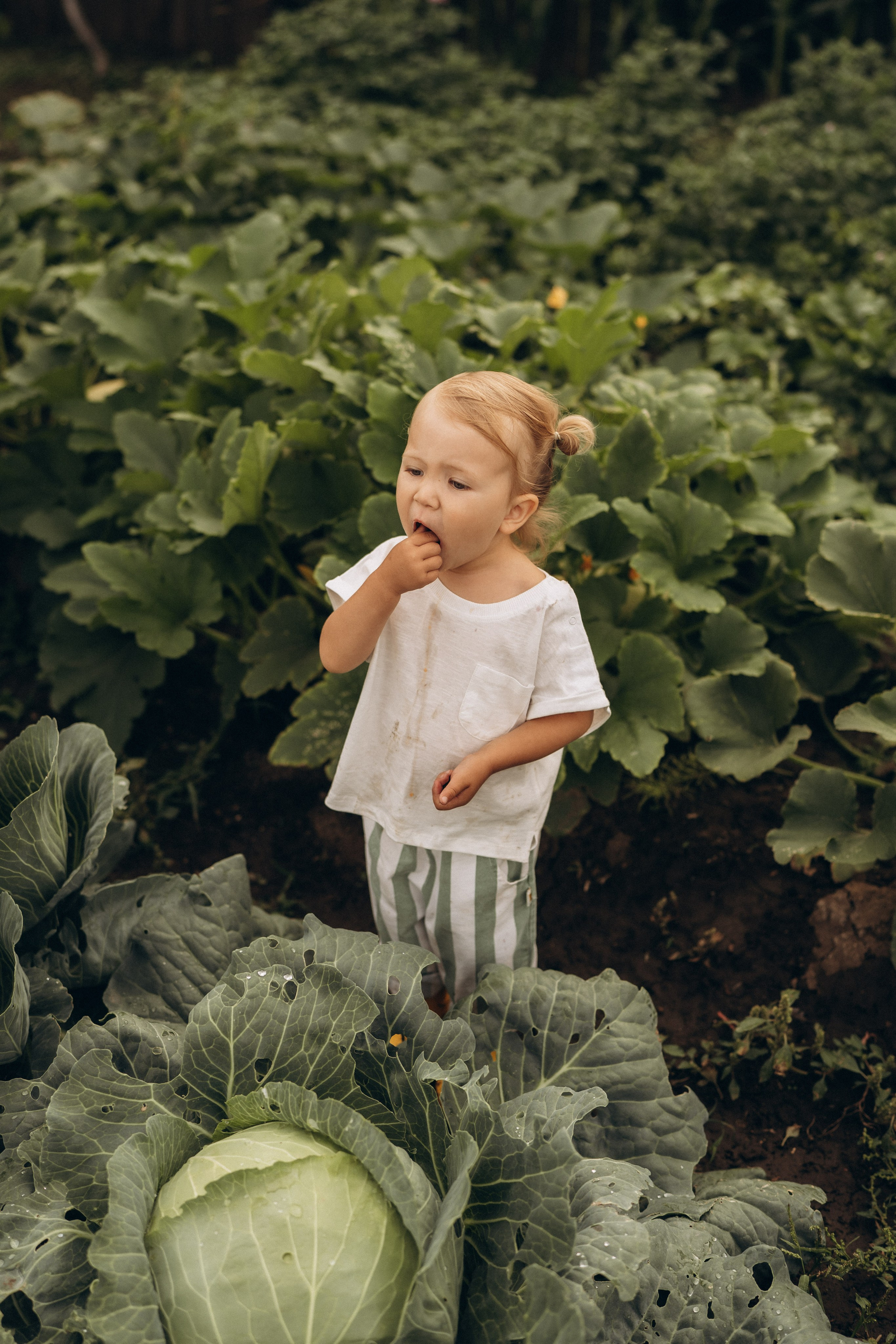 Удачные дела. Семейный фотограф в Ангарске/ Иркутске