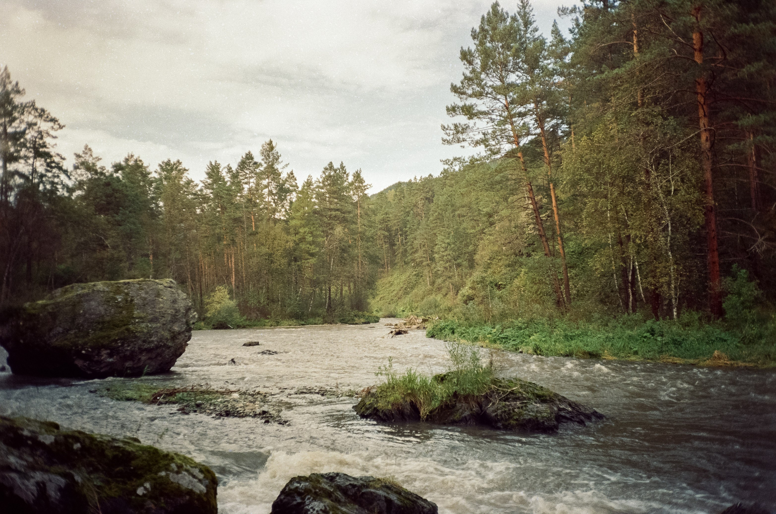 Горно-алтайский ботанический сад