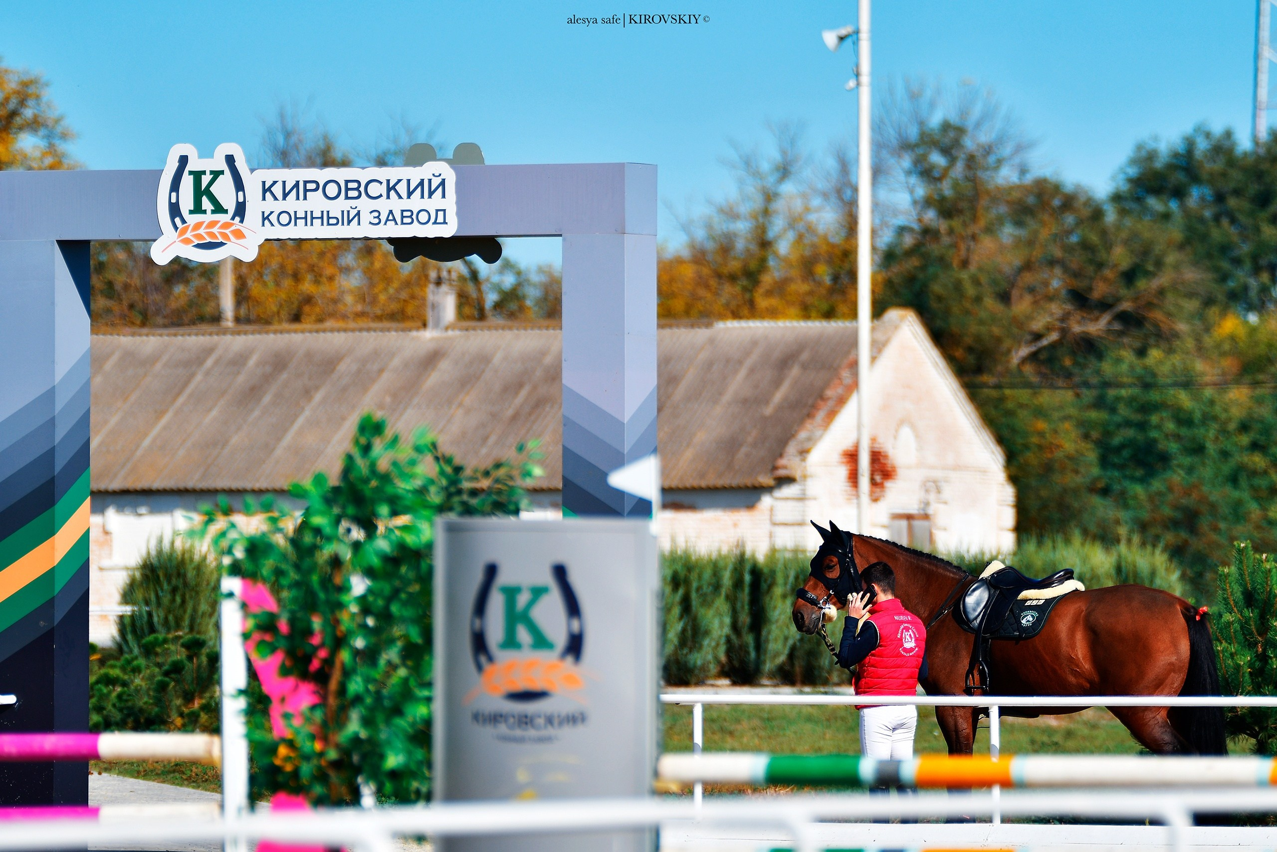 Кировский конный завод. Конный фотограф Alesya Safe