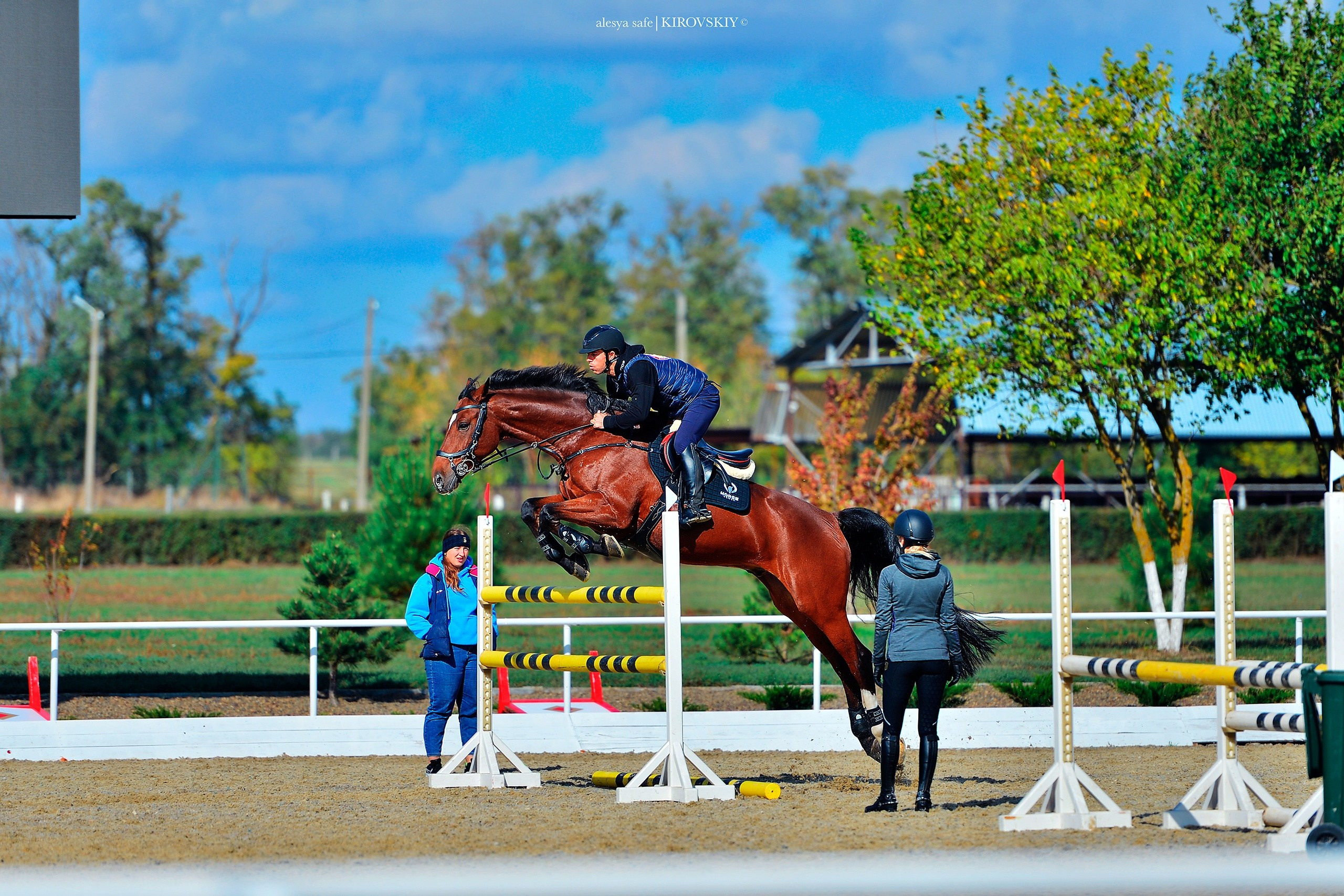 Кировский конный завод. Конный фотограф Alesya Safe