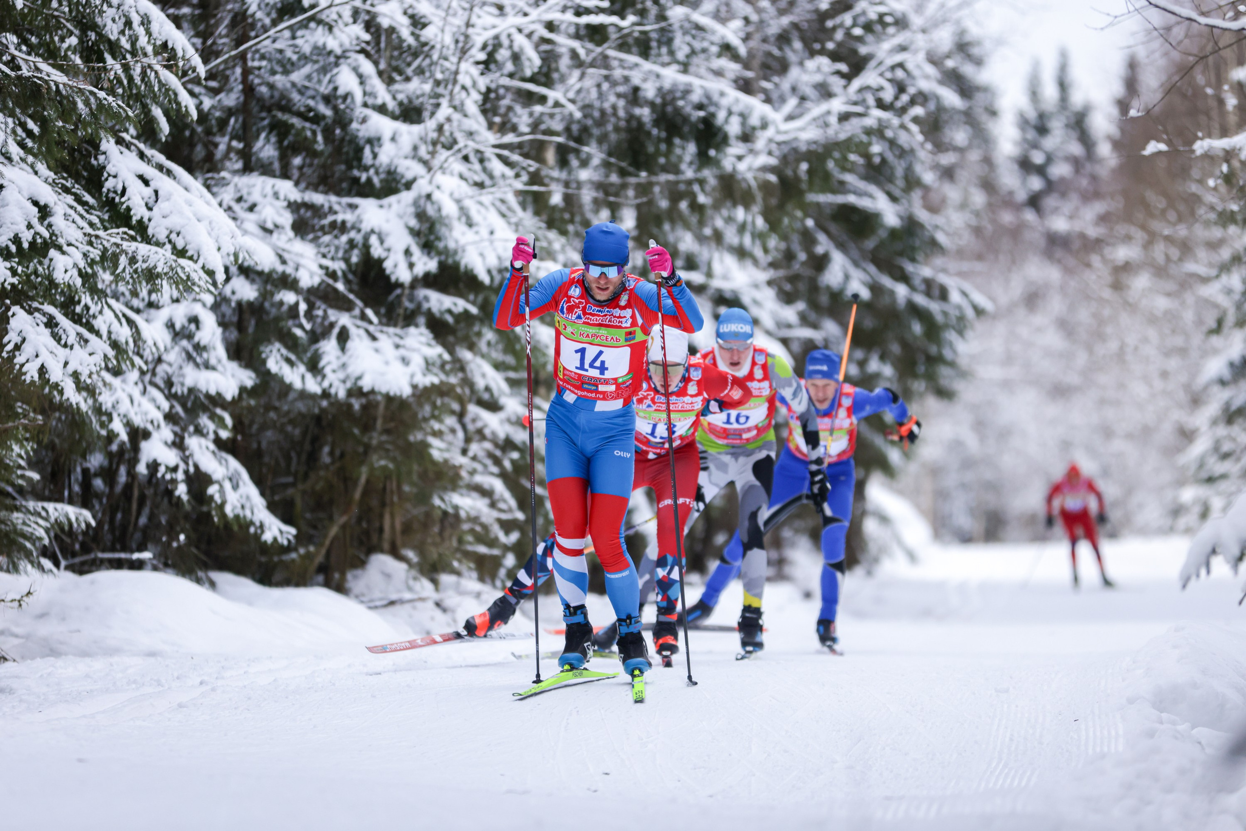 Репортажная съёмка спортивных мероприятий. ESHE_PHOTO Фотограф анималист в Москве и Московской области