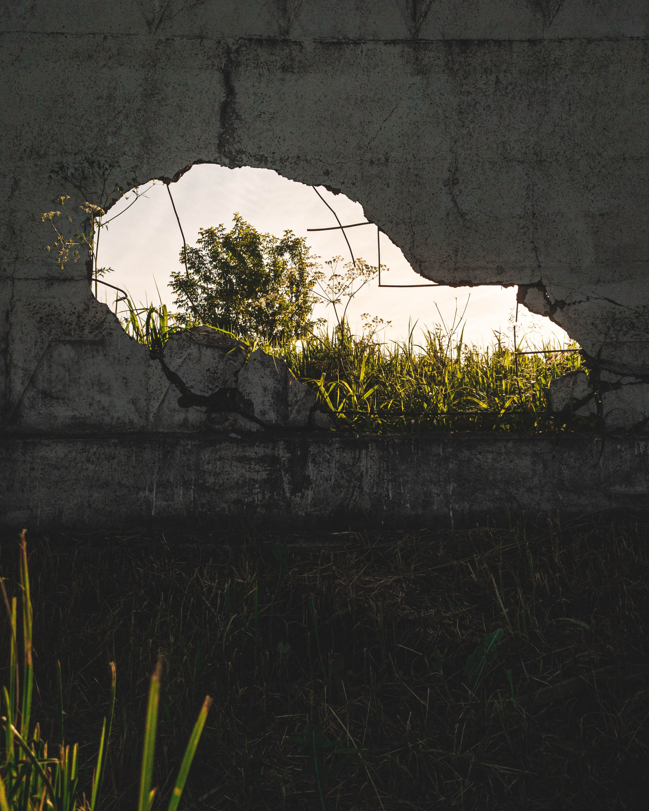 Эстетика ебеней. Олег Романов. Мастер фото по спорту