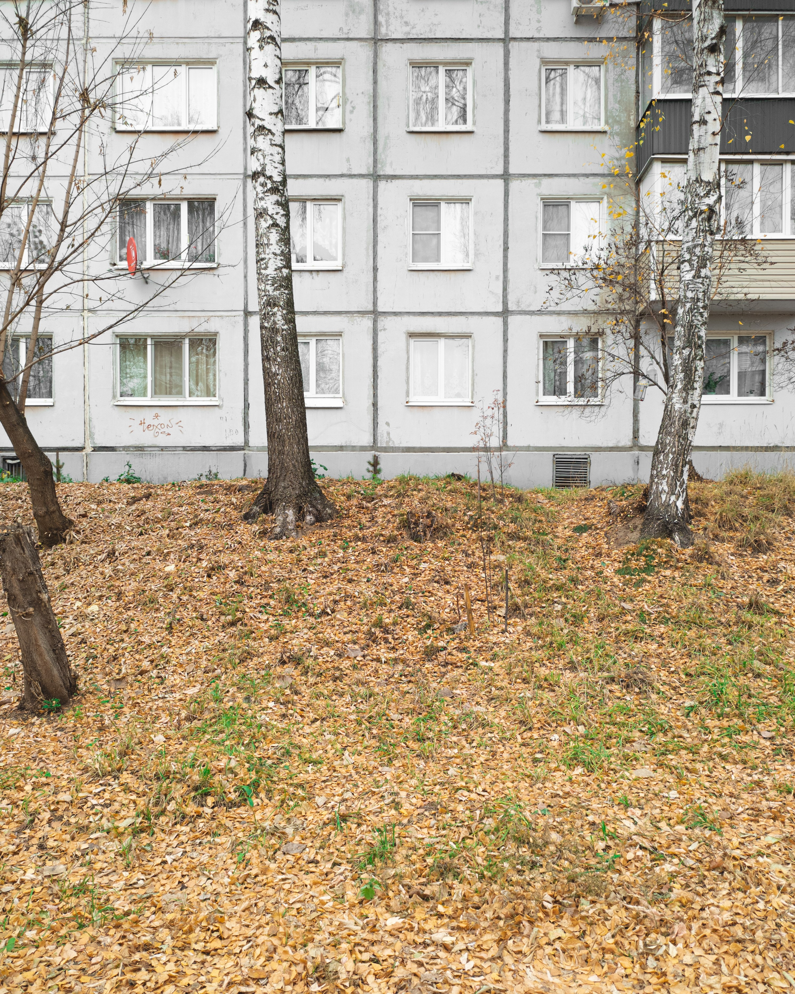 Эстетика ебеней. Олег Романов. Мастер фото по спорту