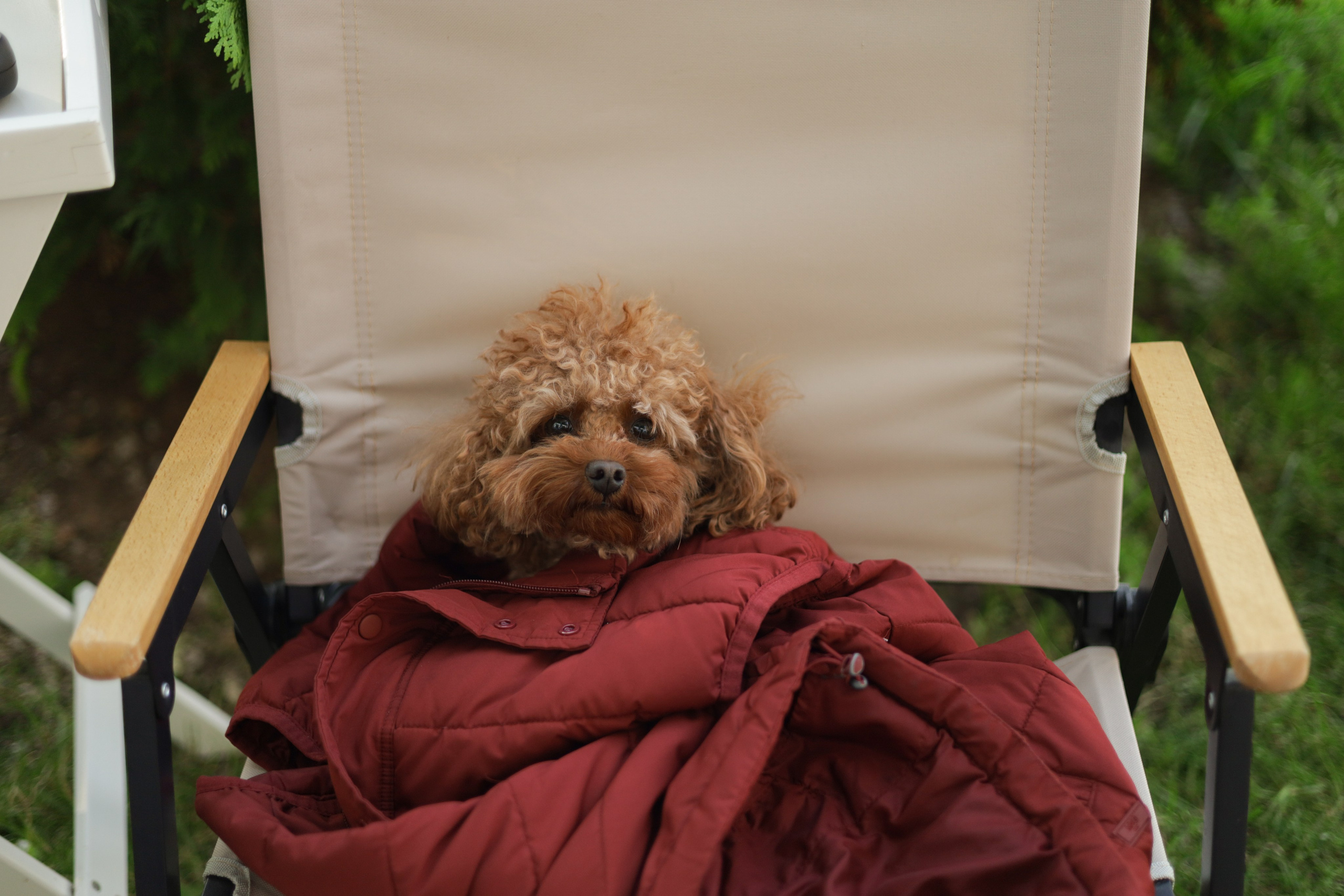 BOTANICA фест. Фотограф Мурманск | Нижний Новгород • Анна Хижняк