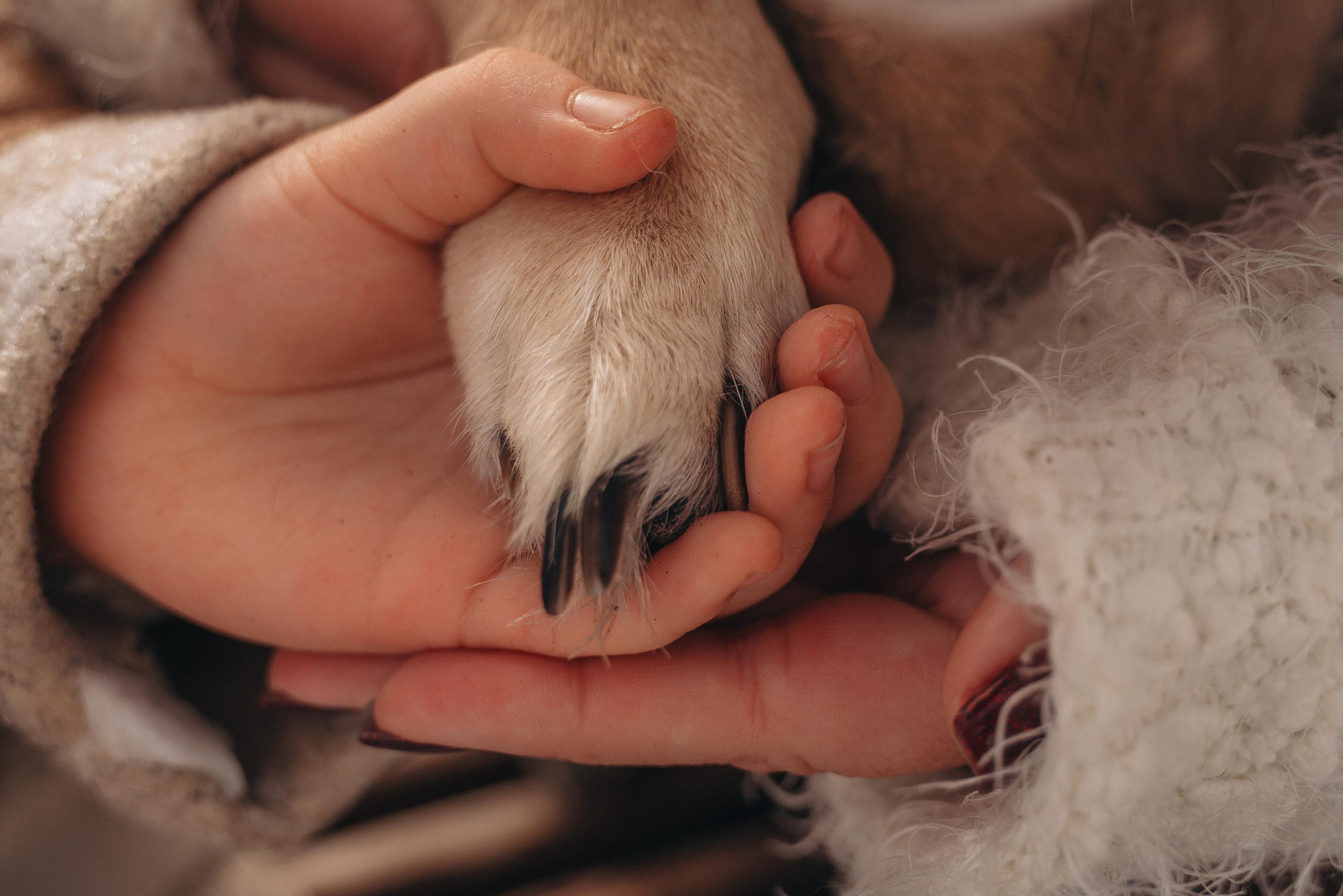 Февраль с Мартой 💞. FotoTanya. Раменское/Жуковский/Бронницы