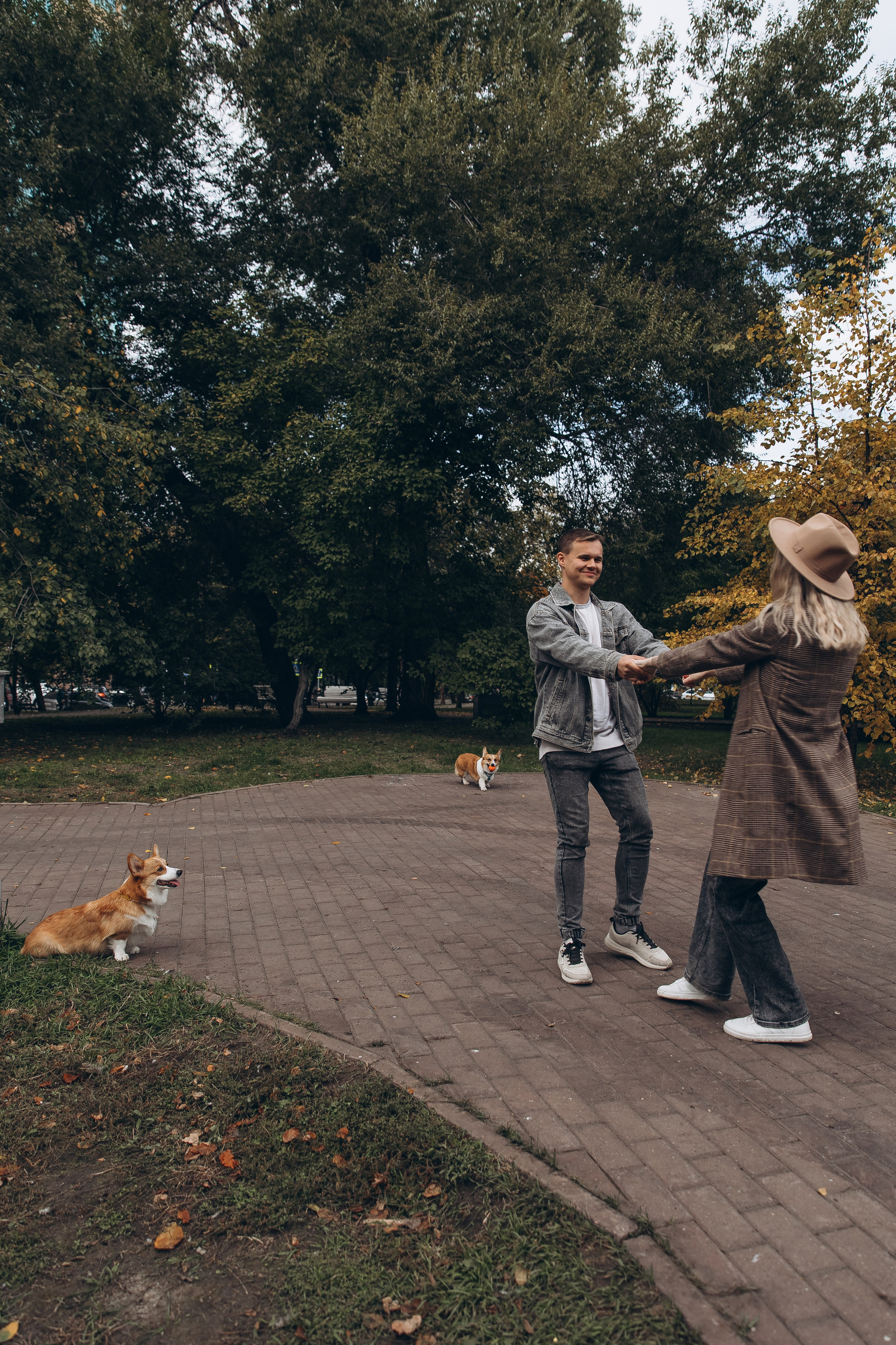 «Королевский Корги» 2. Фотограф Алина Ионычева в Новосибирске