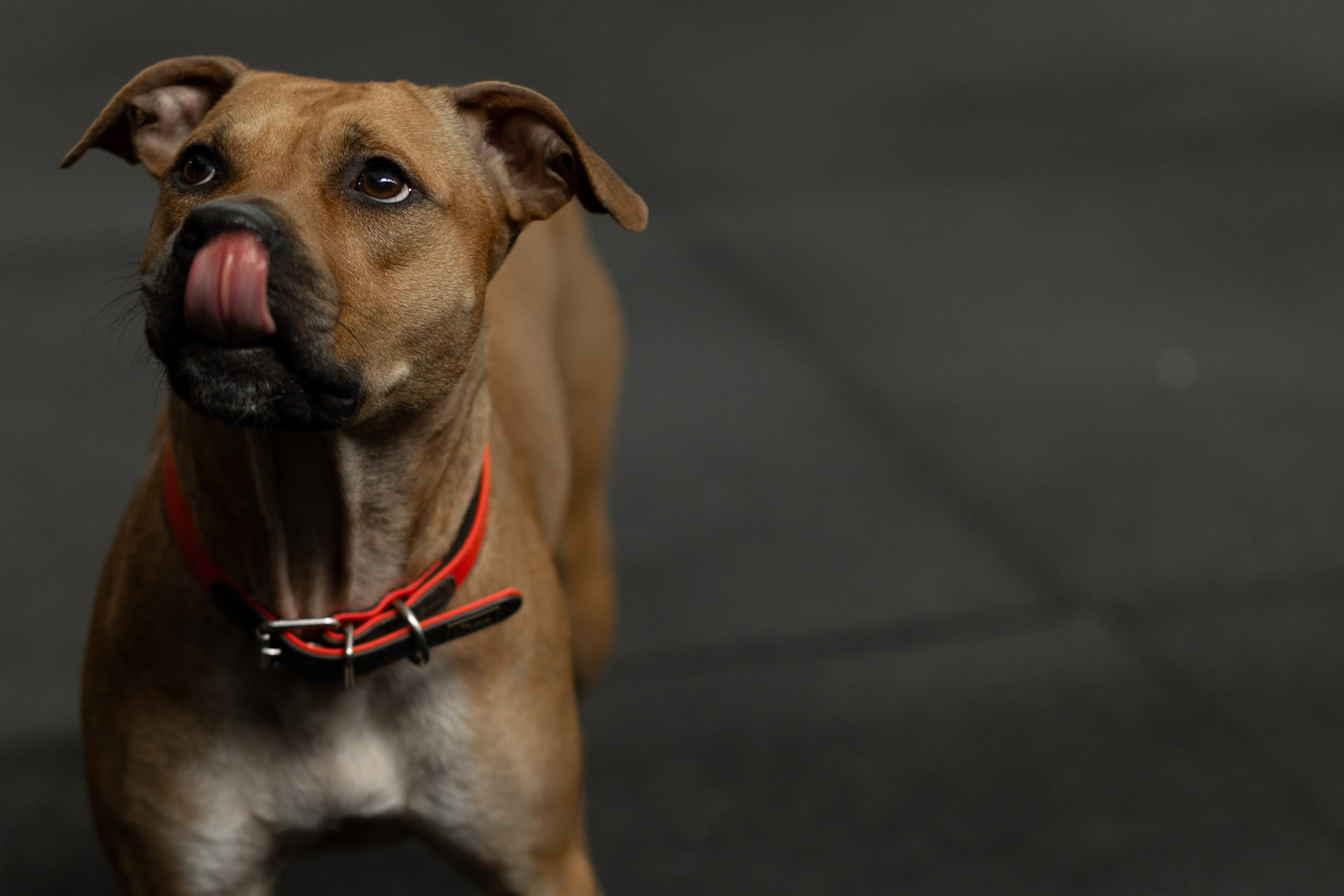 «Bupas gym» Москва 2024. Тренировка в боксерском клубе. Фотограф Алина Ионычева в Новосибирске