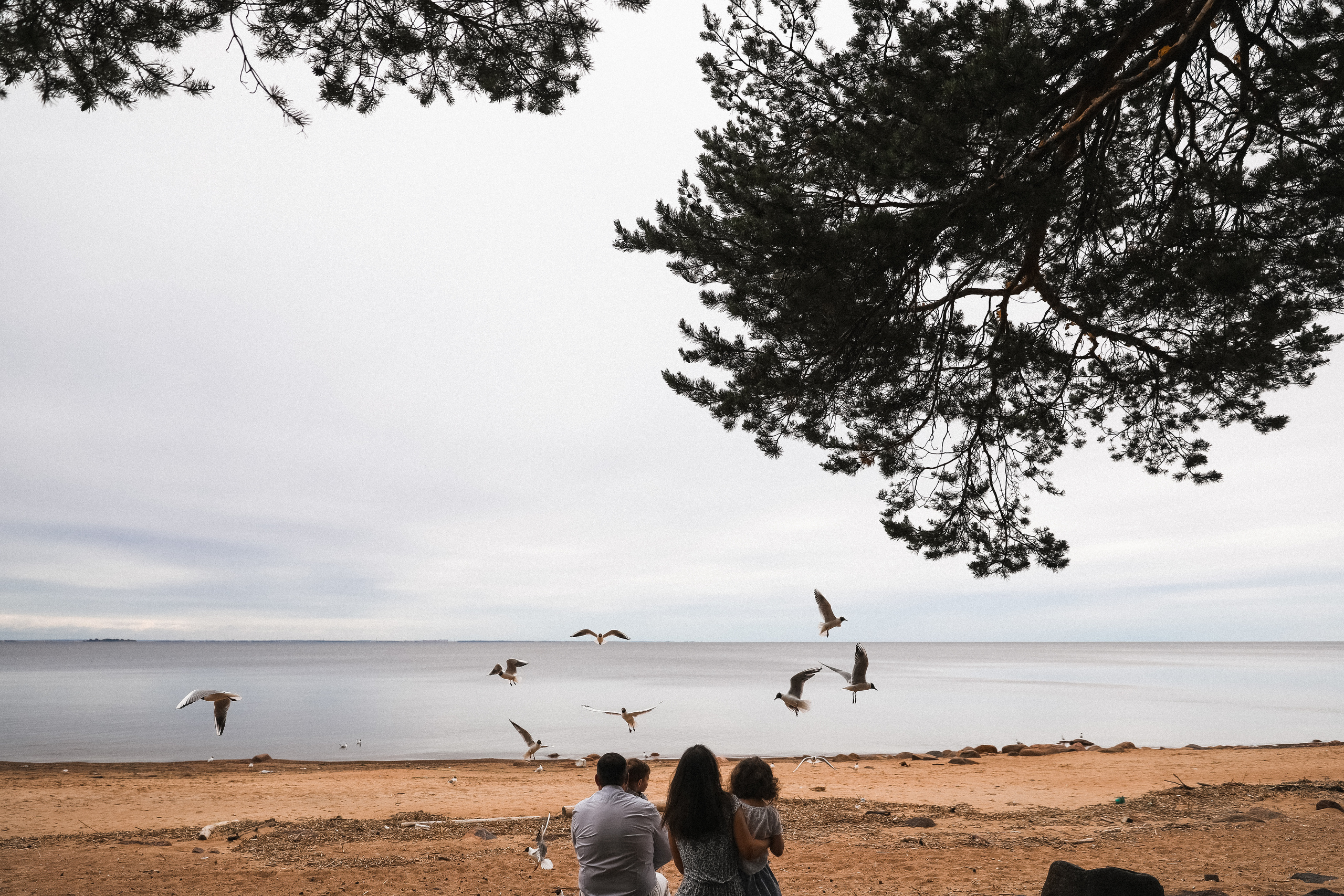 Один день среди птиц.... Свадебный и семейный Фотограф Денис Кошель