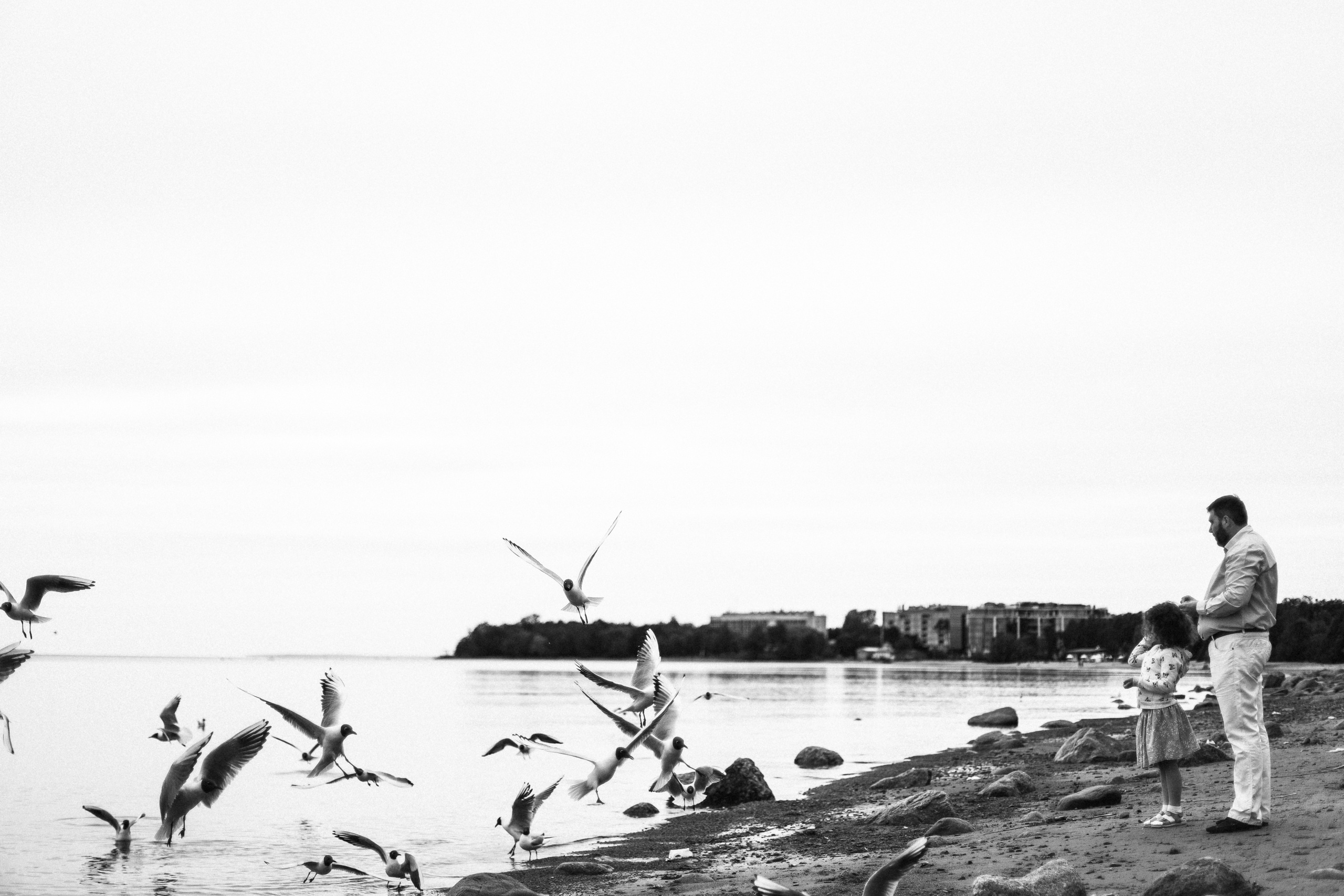 Один день среди птиц.... Свадебный и семейный Фотограф Денис Кошель