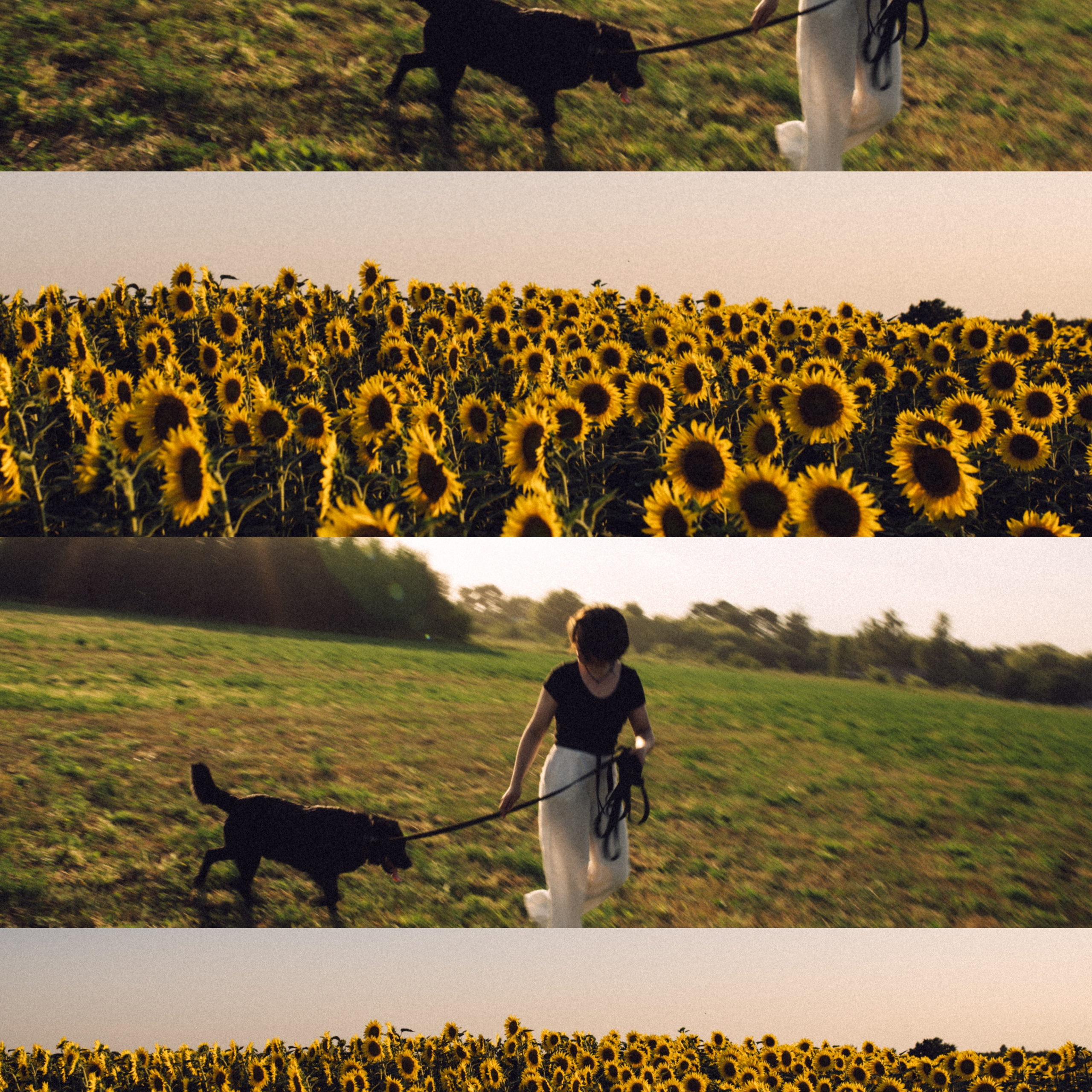 Злата и её верный друг Сэм🐶. Лайфстайл фотограф в Москве Серебрянская Фаина