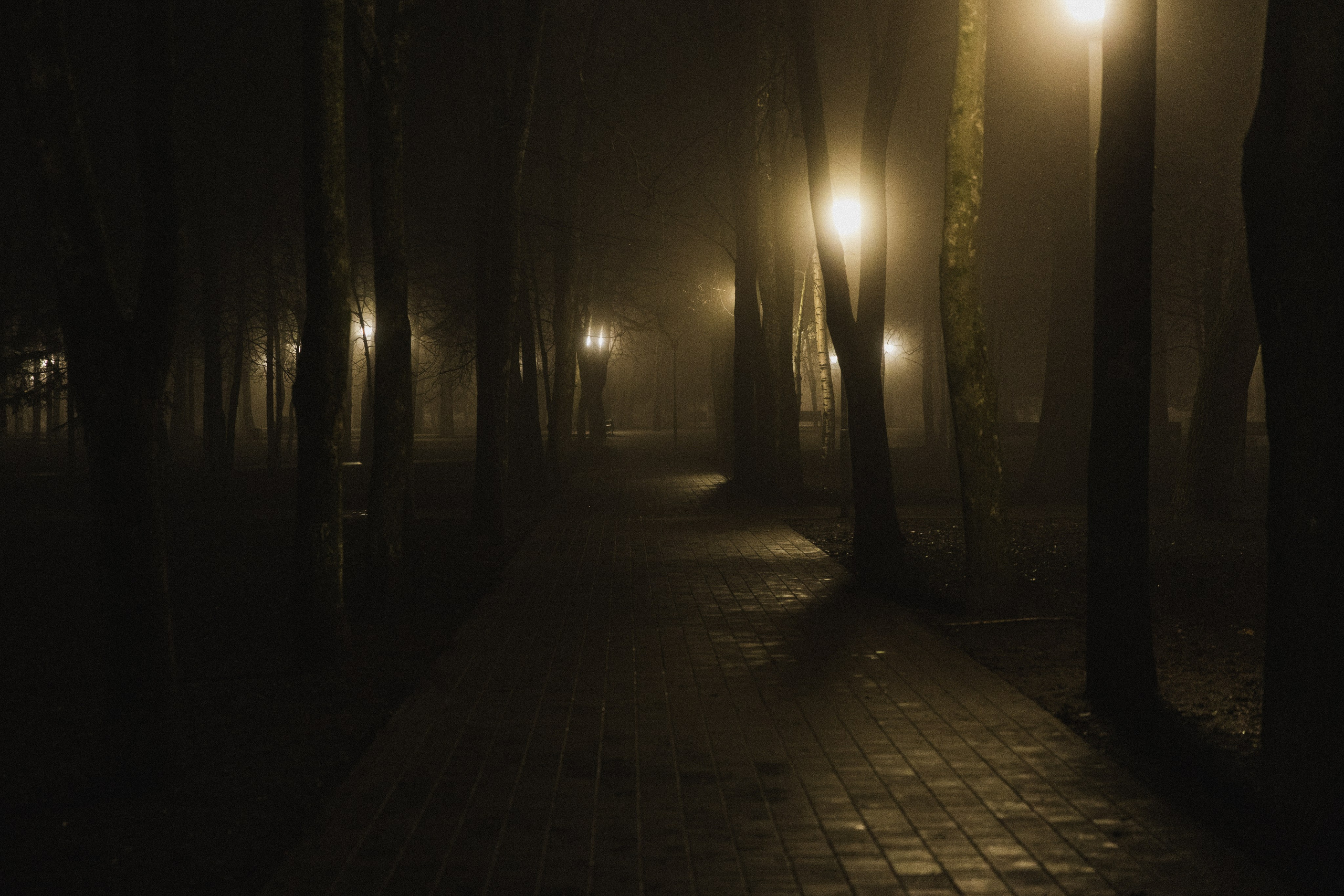 Фотосессия Марии. Олег Минайлов — Фотограф ваших событий