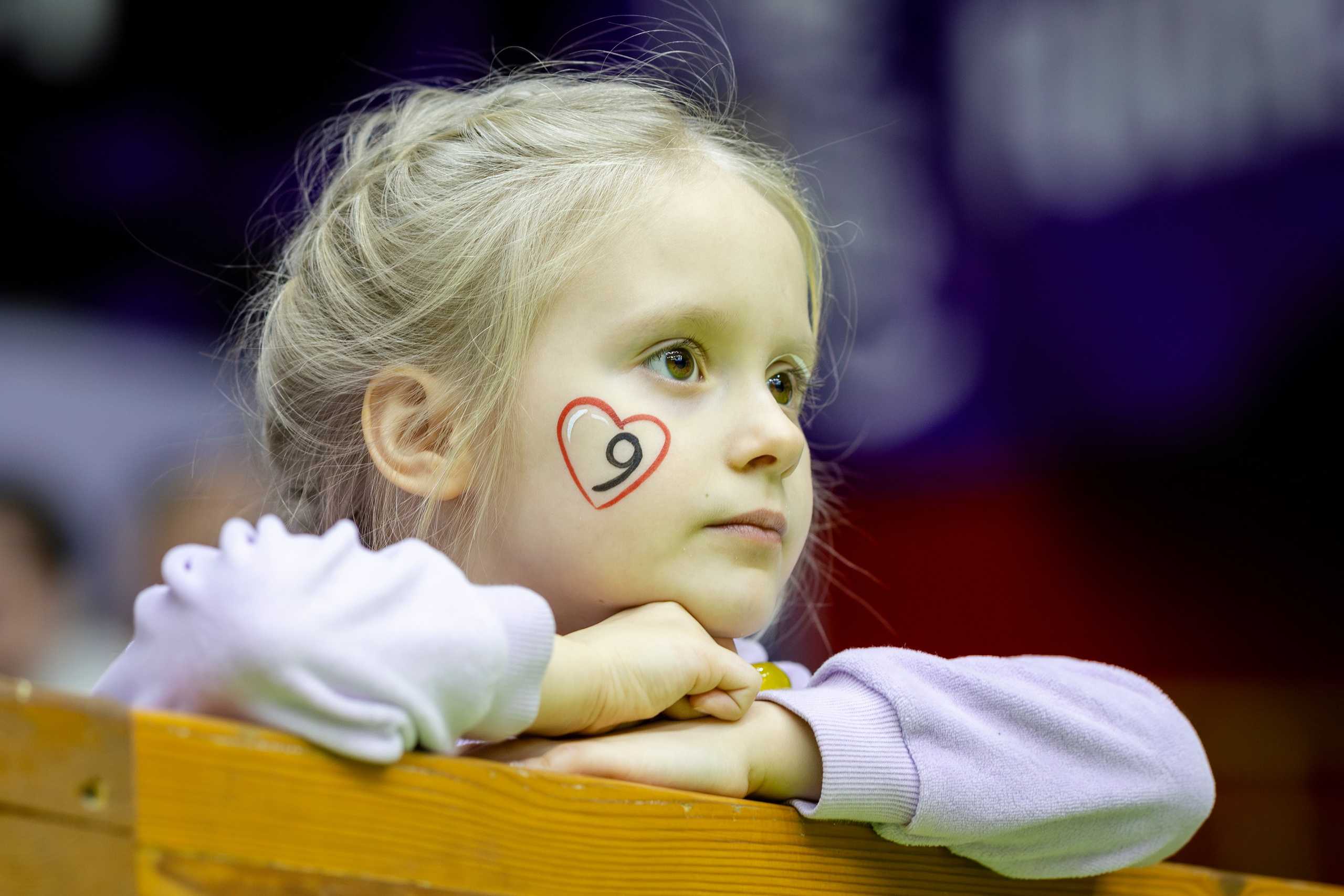 БК Новосибирск. Bertran Ordo