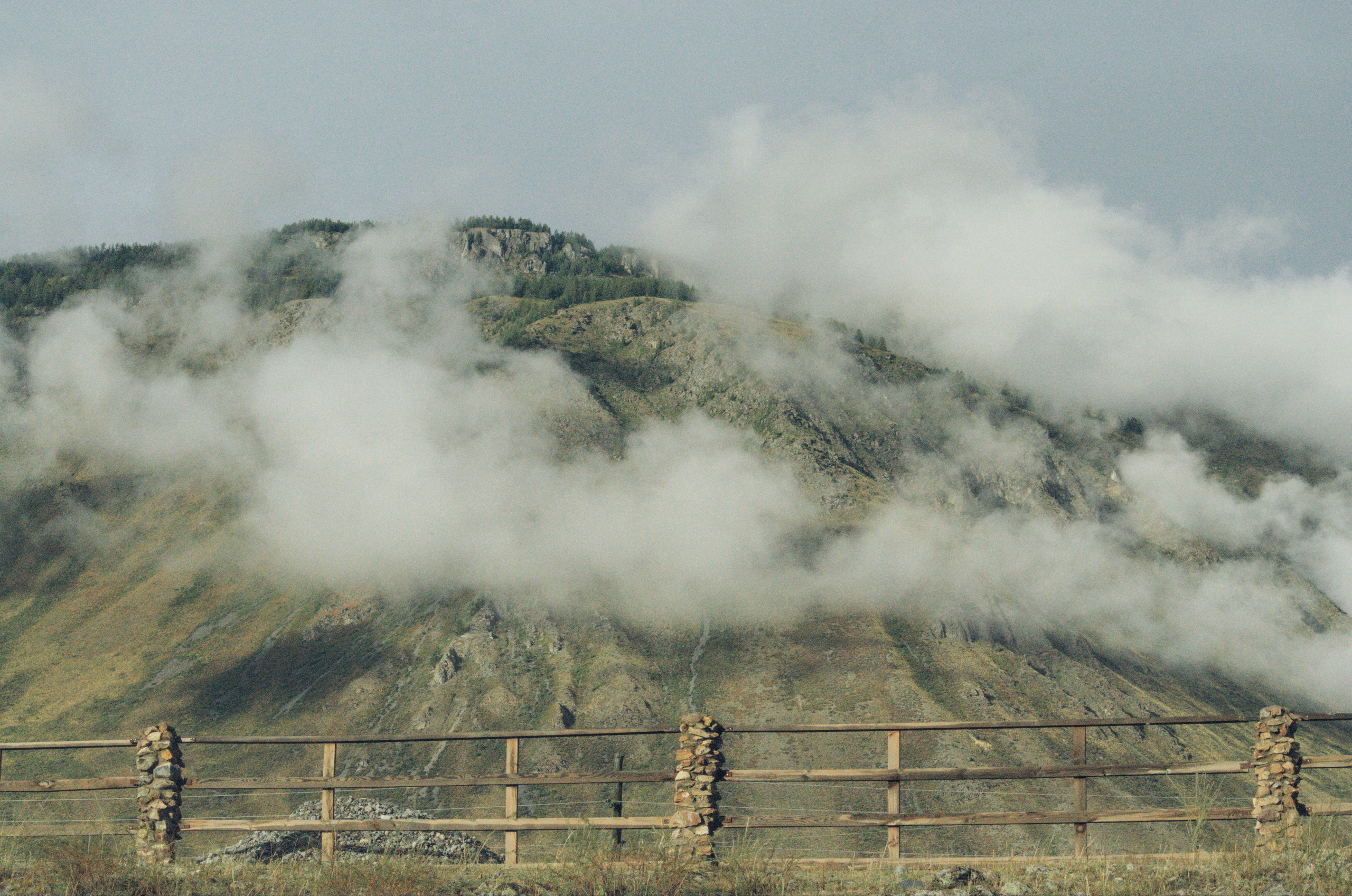 Алтай. Фотограф анималист, пейзажист, спортивные мероприятия. Новосибирск