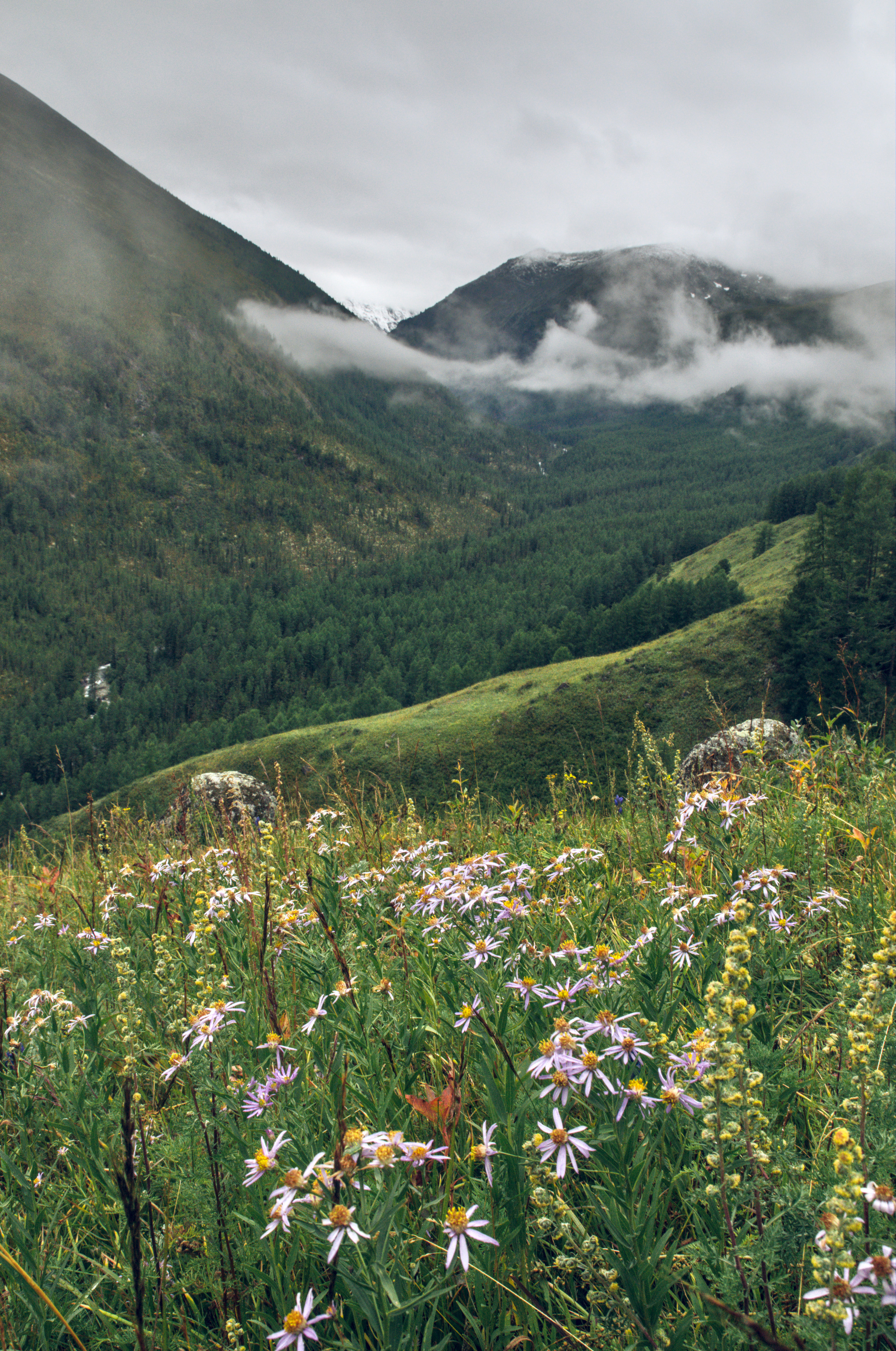Долина Малый Кулагаш